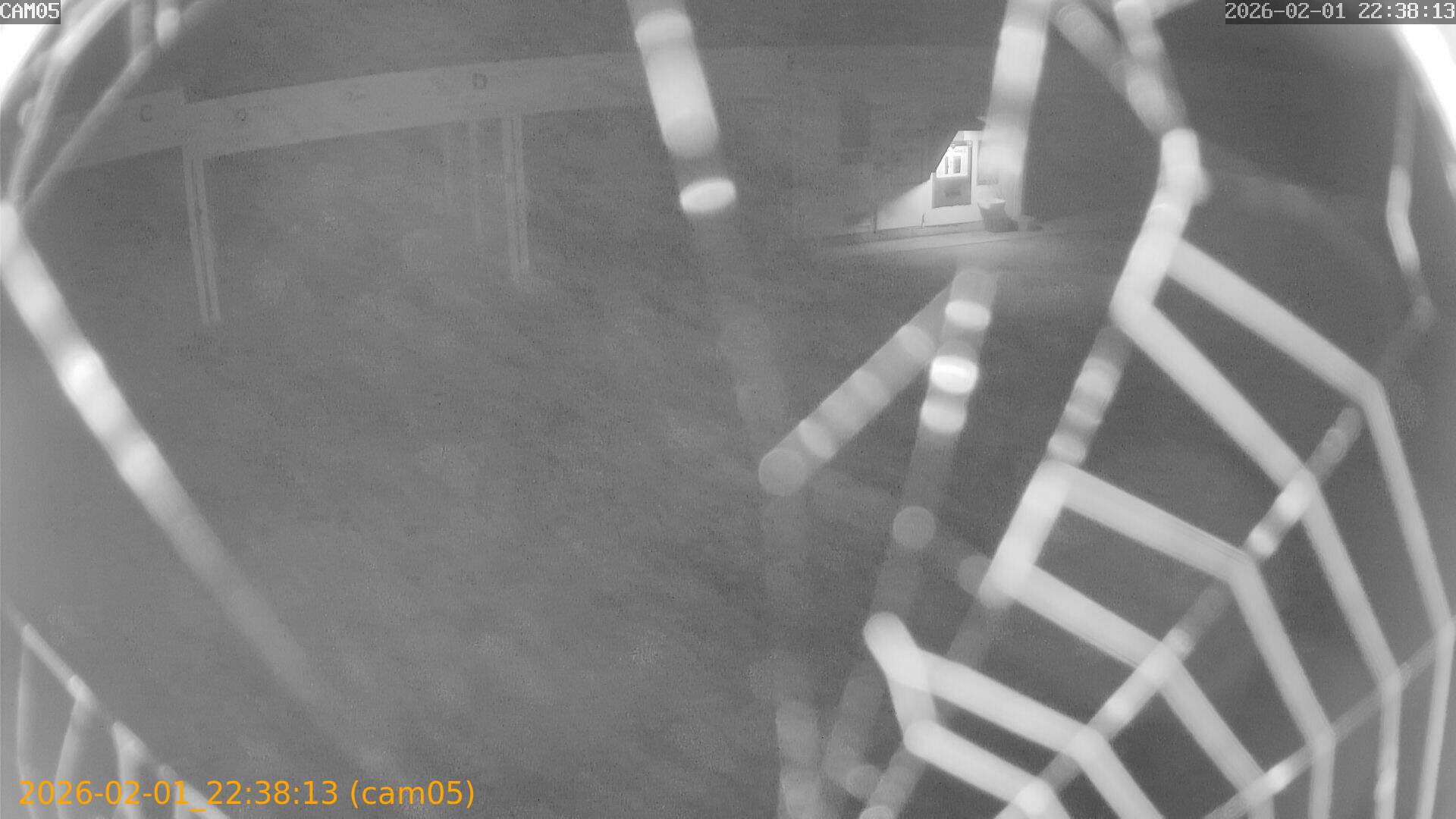 thumbnail_20260201223813