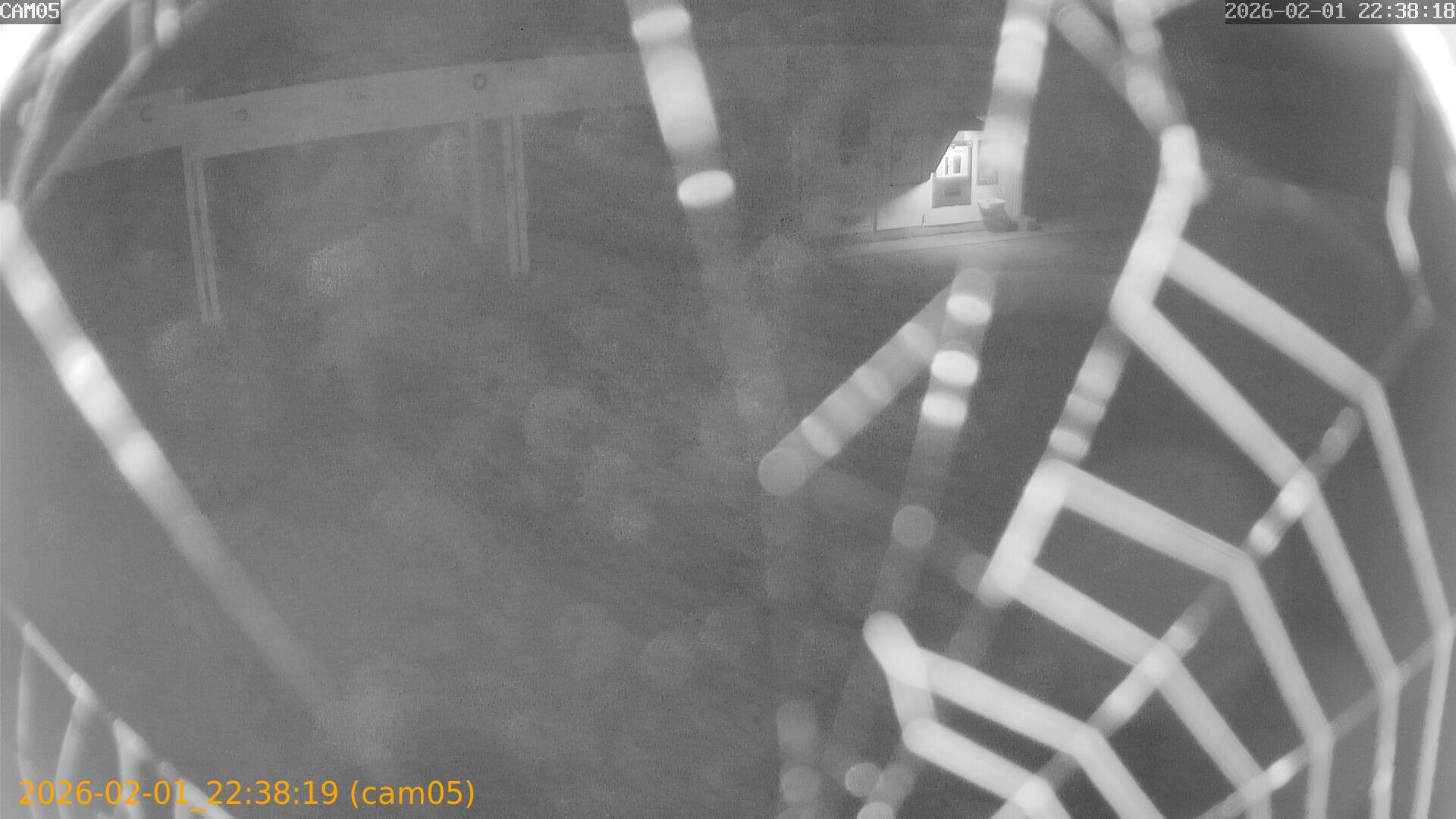 thumbnail_20260201223819