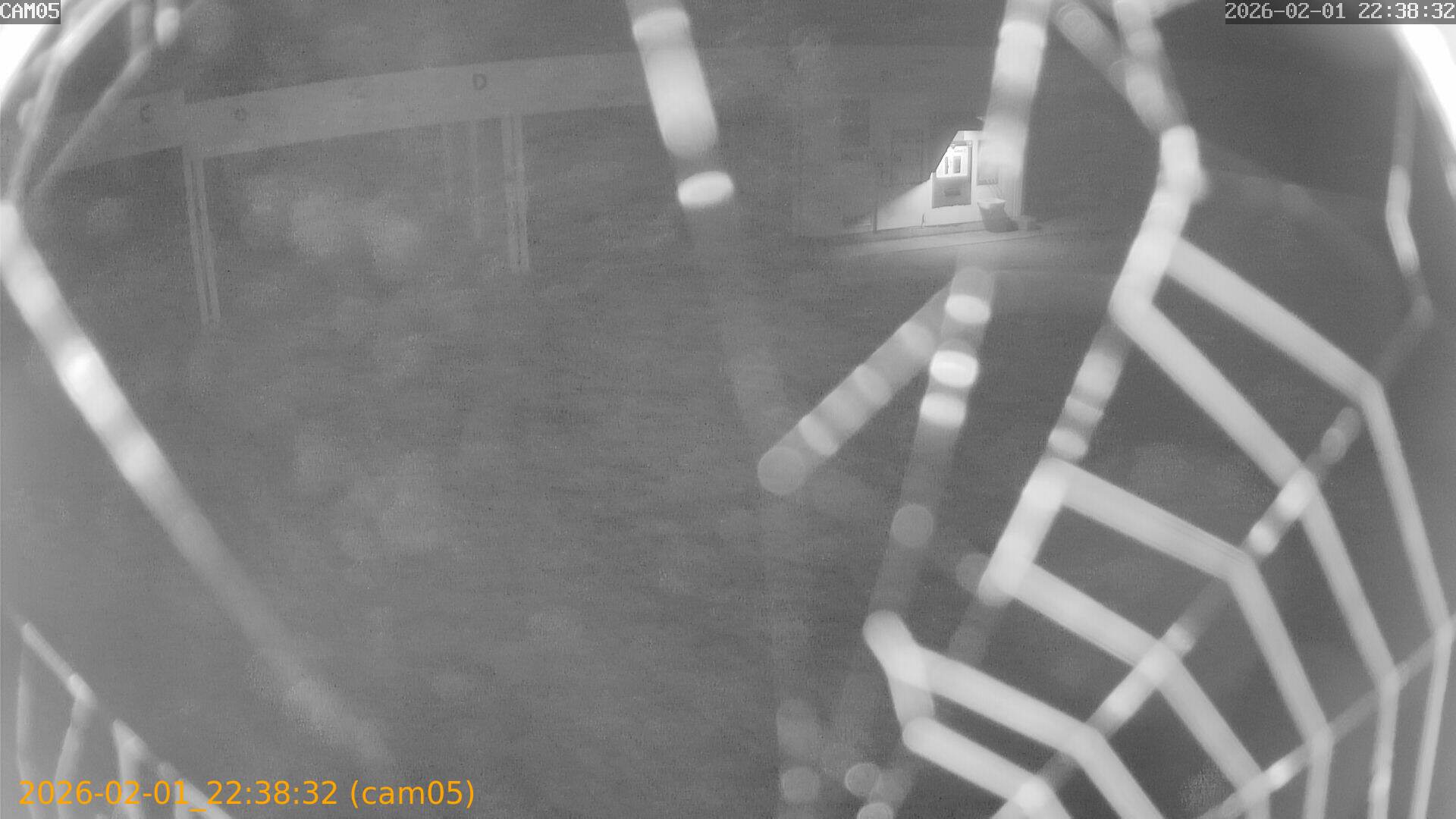 thumbnail_20260201223832