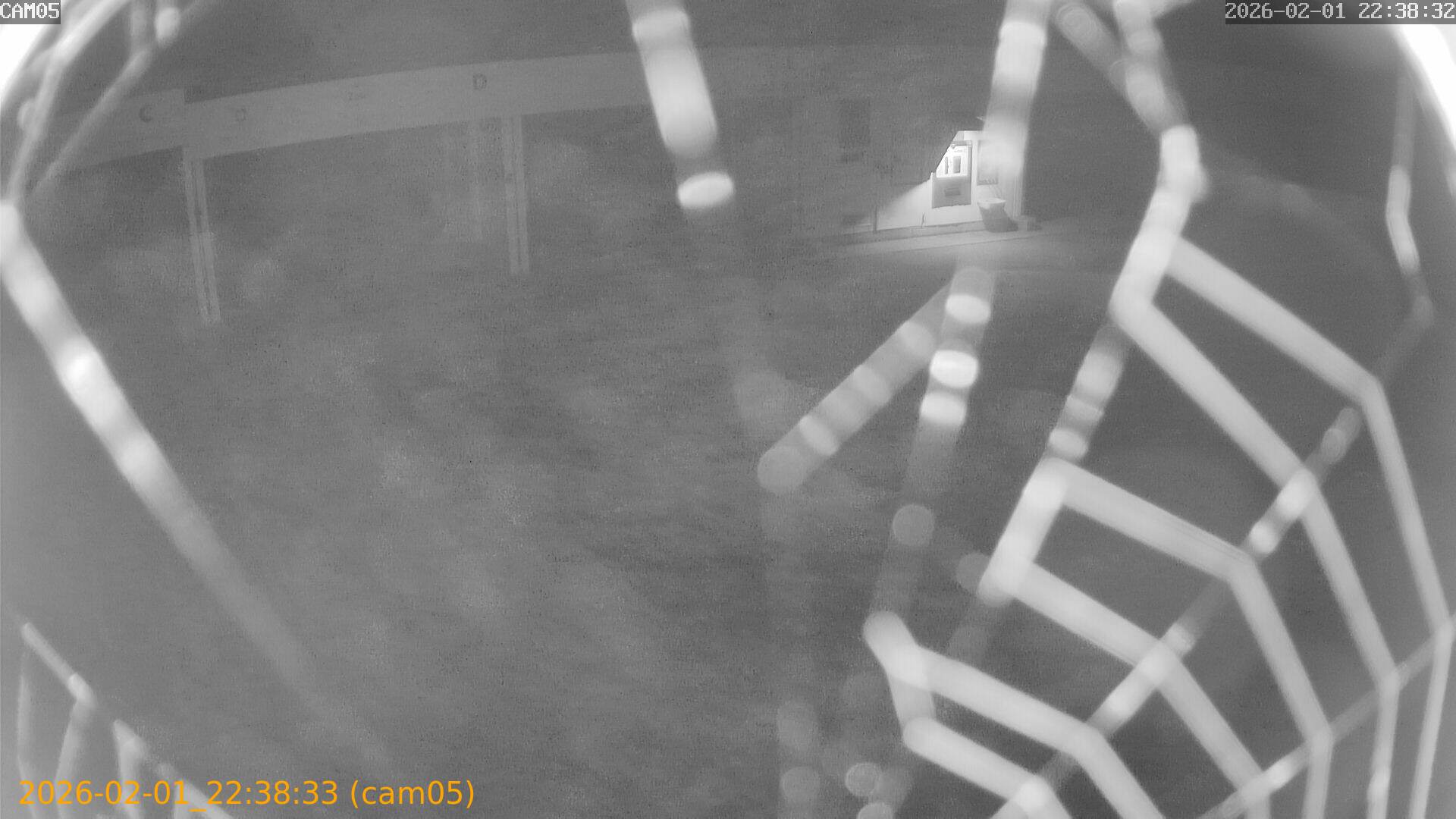 thumbnail_20260201223833