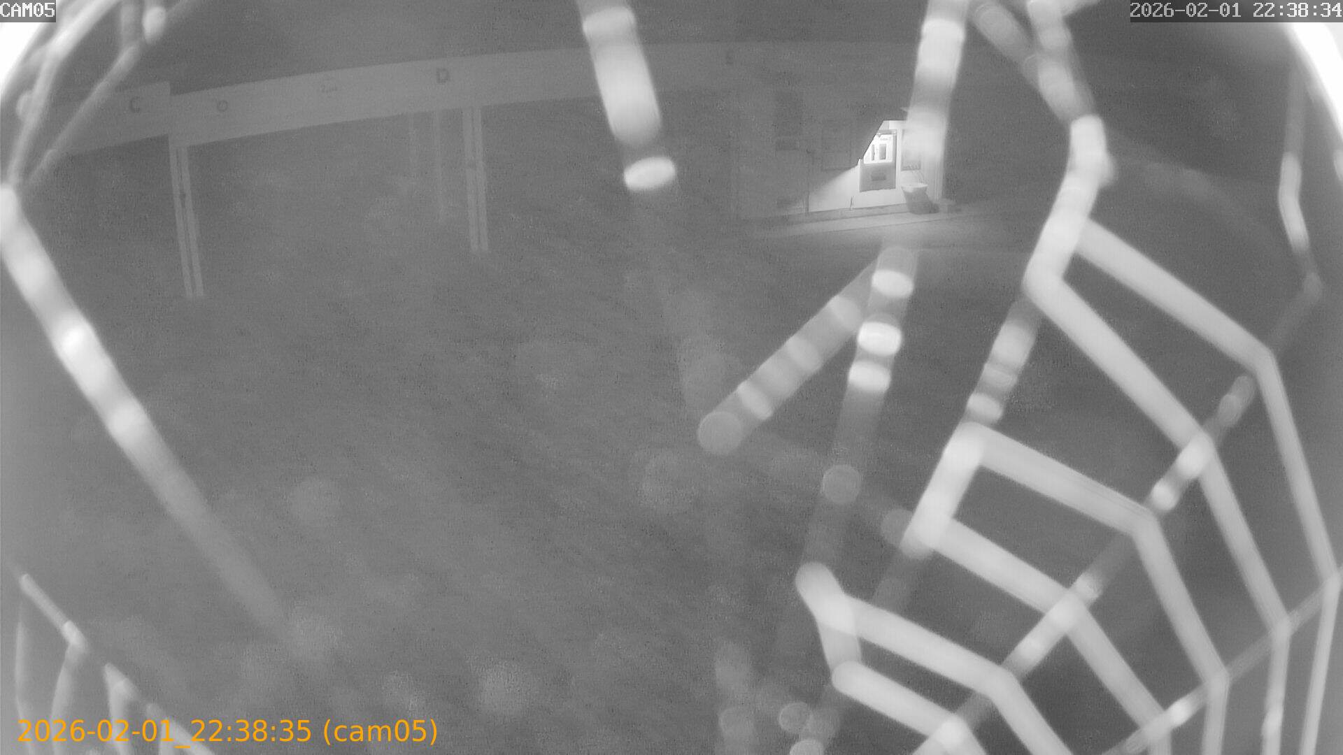 thumbnail_20260201223835