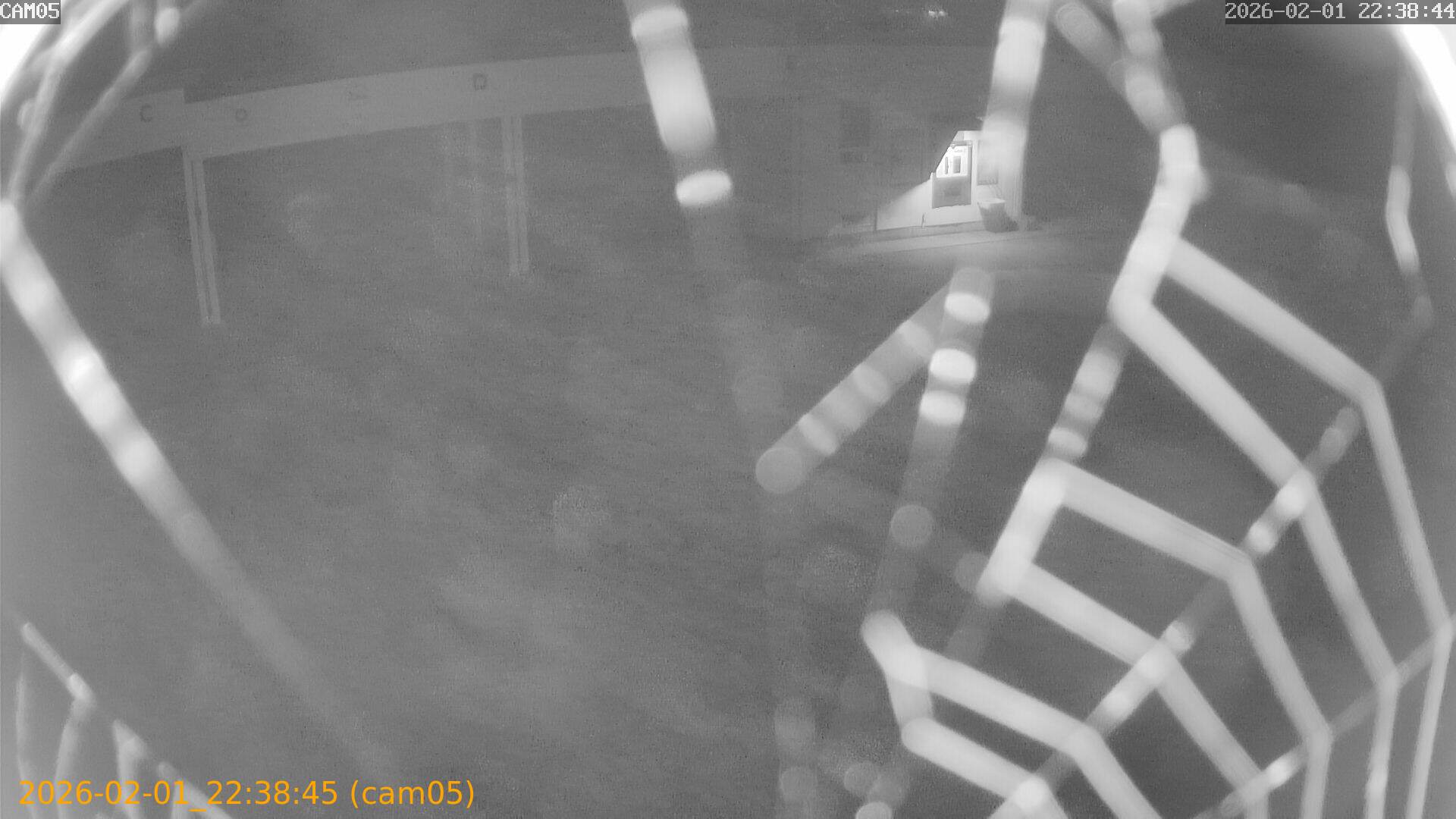 thumbnail_20260201223845