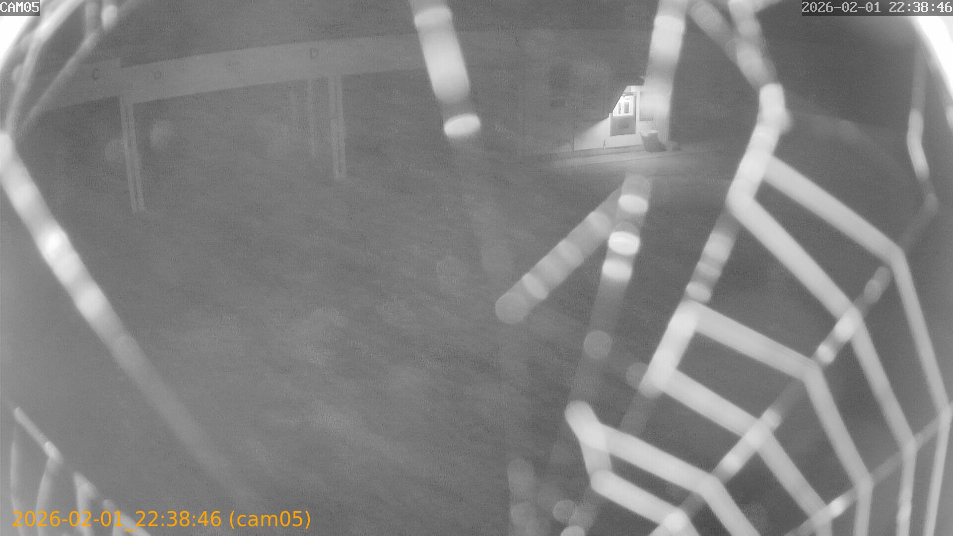 thumbnail_20260201223846