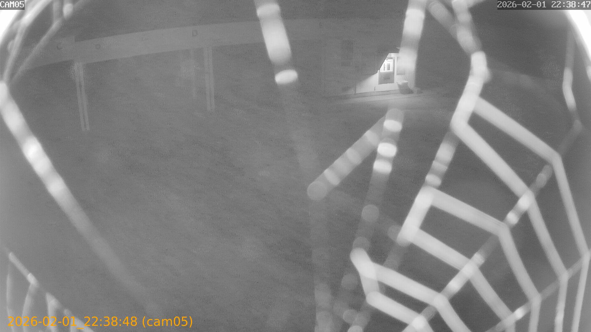 thumbnail_20260201223848