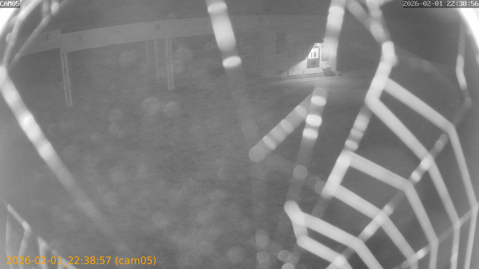 thumbnail_20260201223857