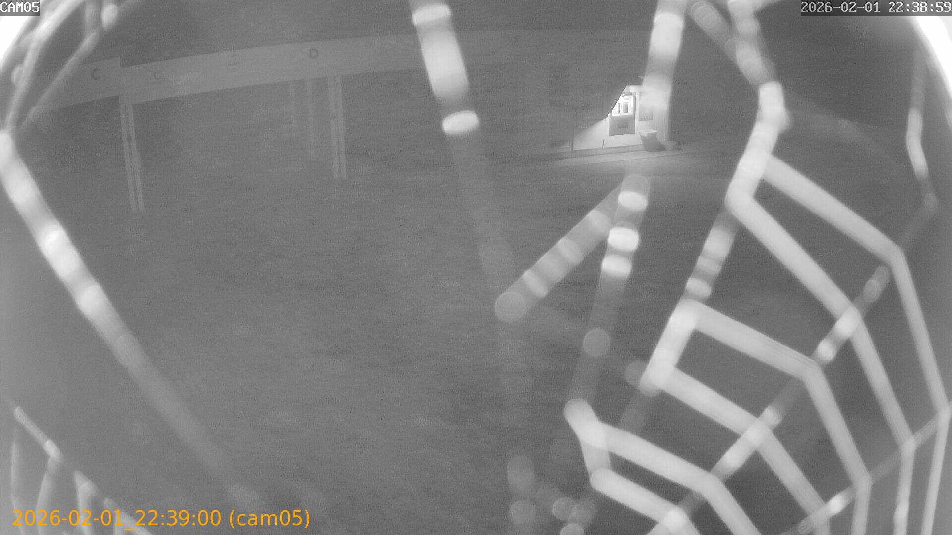 thumbnail_20260201223900