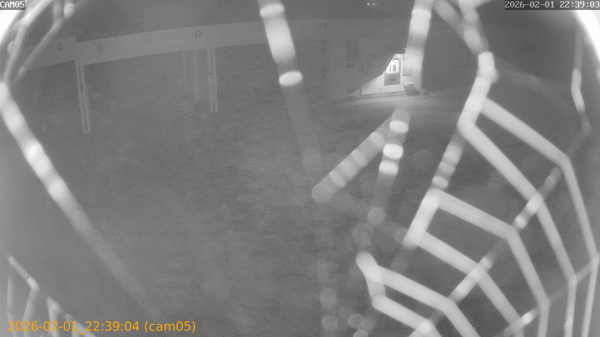 thumbnail_20260201223904