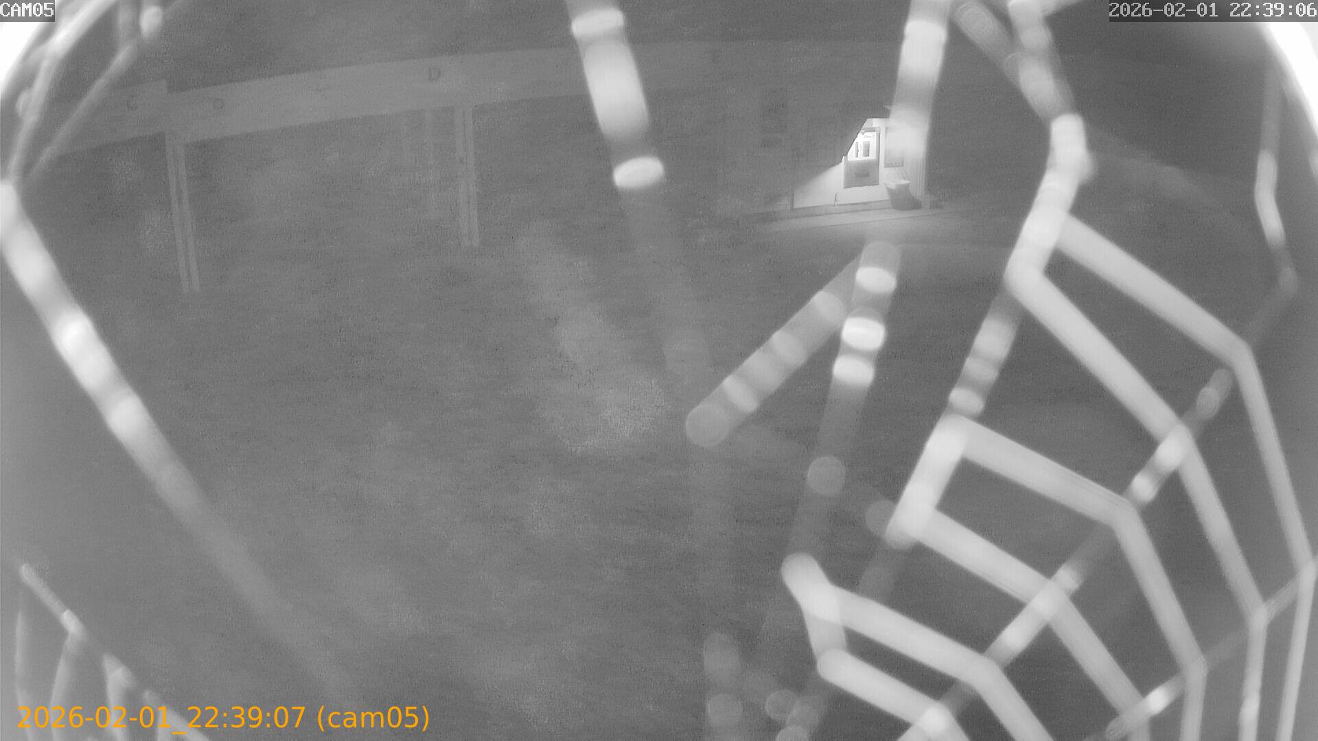 thumbnail_20260201223907