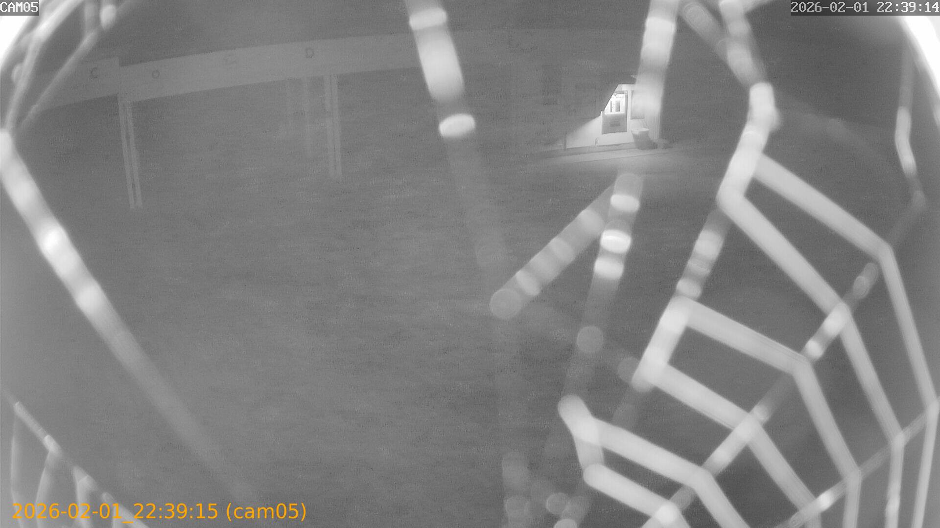 thumbnail_20260201223915