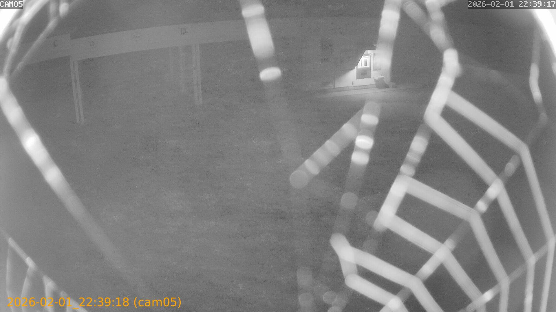 thumbnail_20260201223918