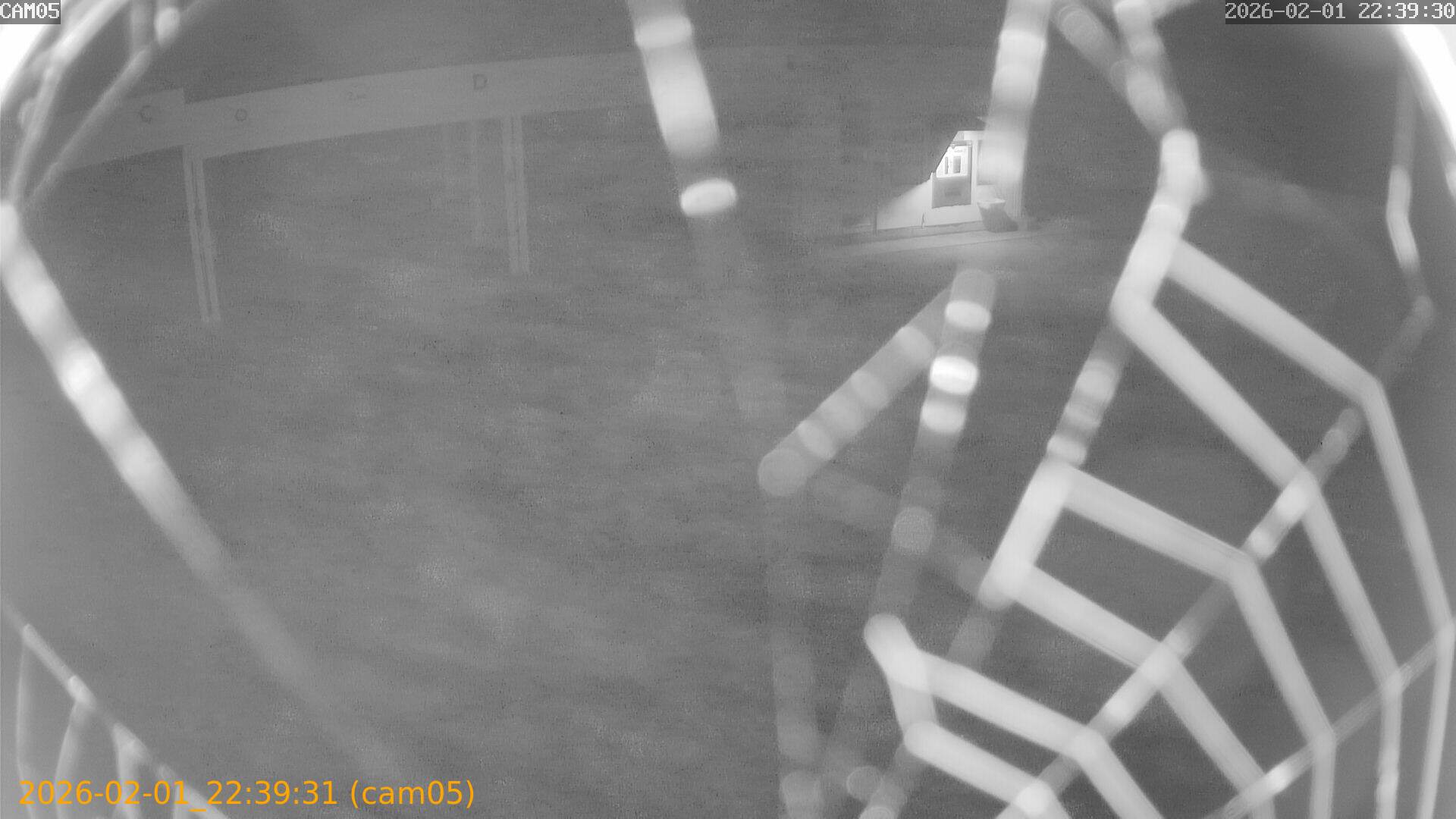 thumbnail_20260201223931