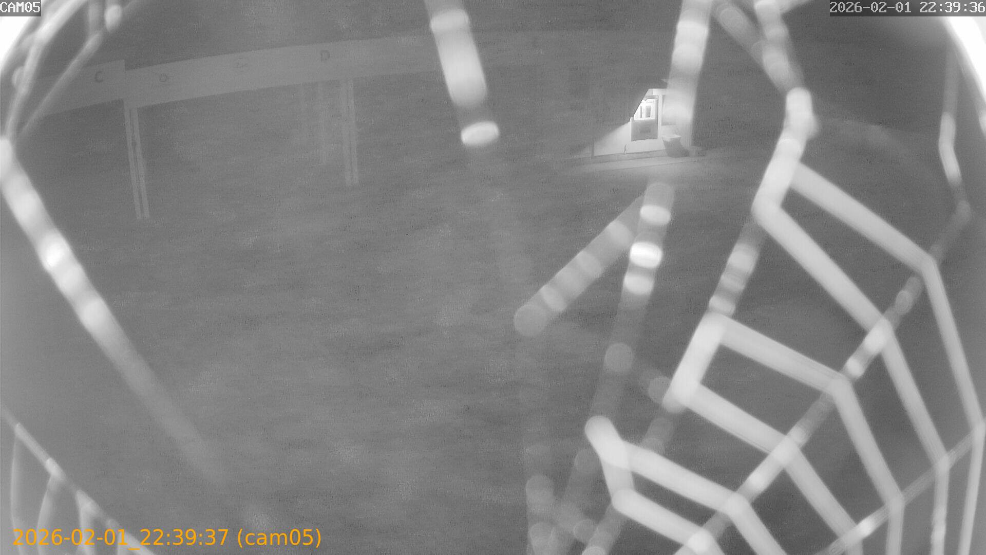 thumbnail_20260201223937