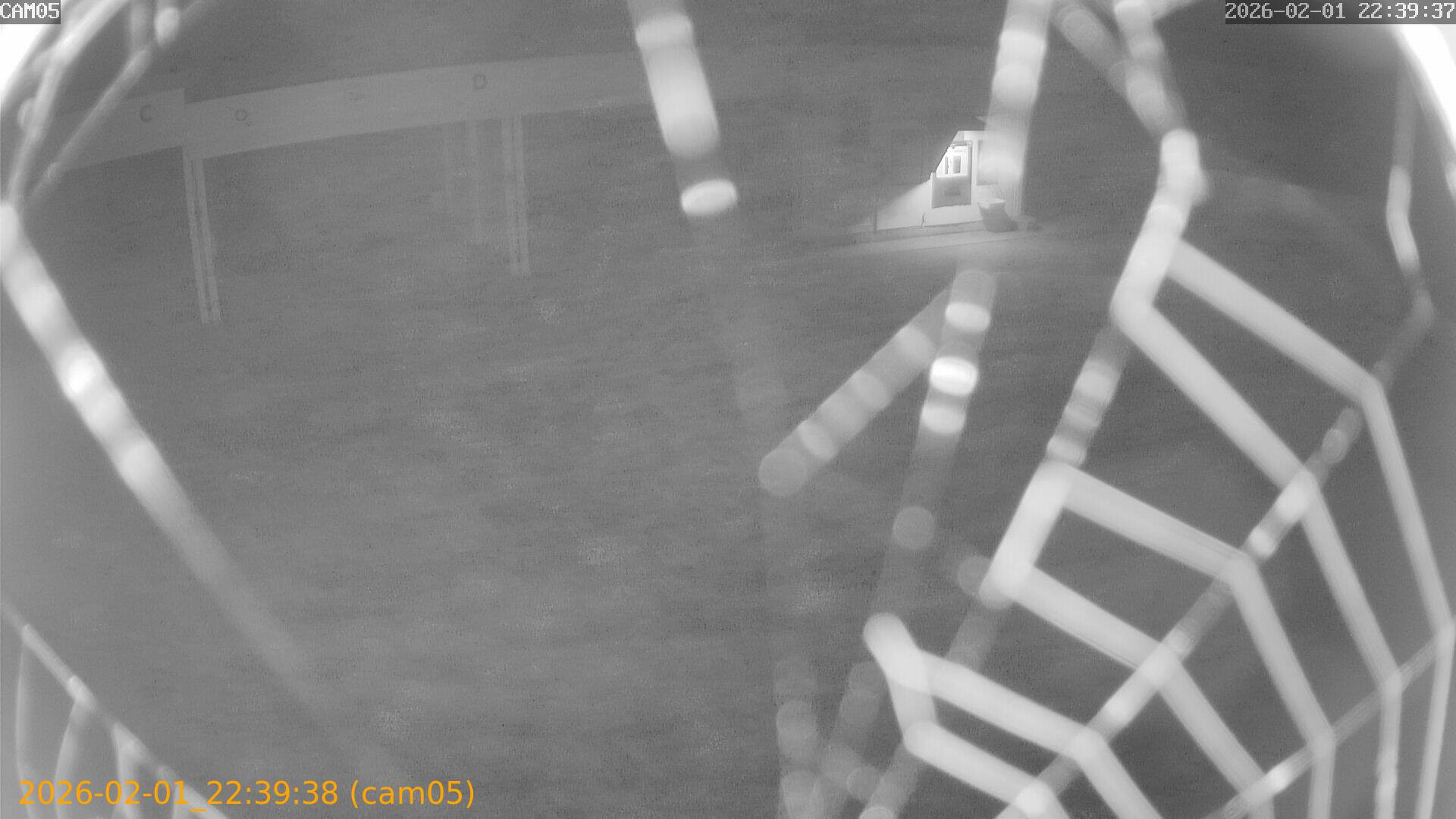 thumbnail_20260201223938