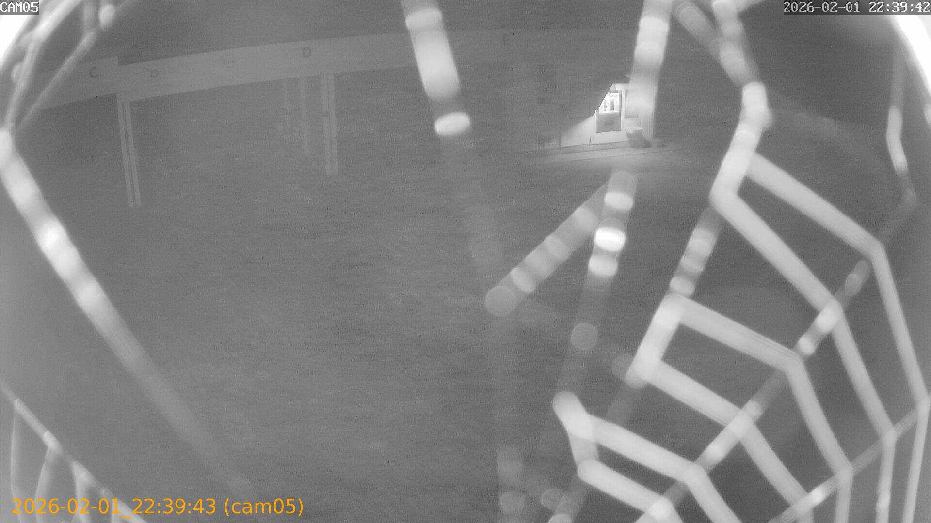 thumbnail_20260201223943