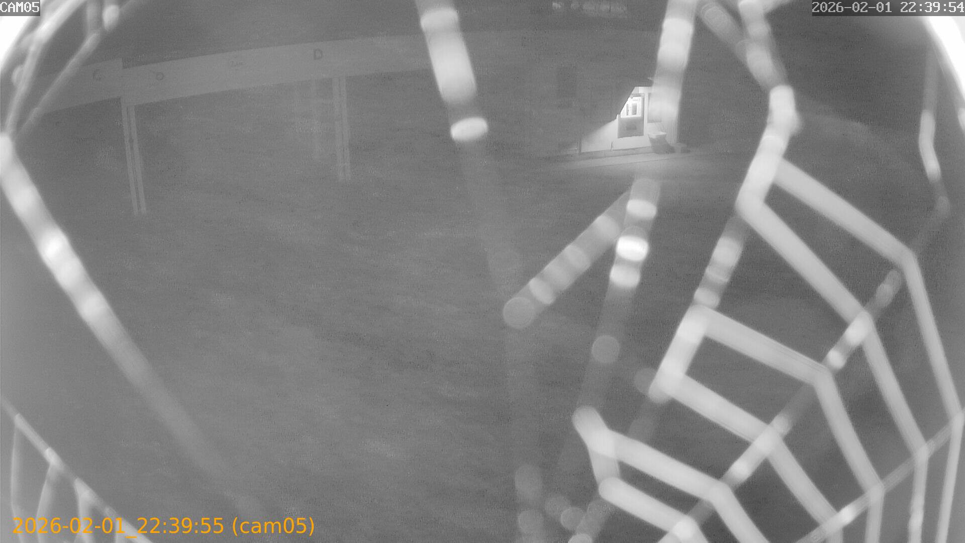 thumbnail_20260201223955