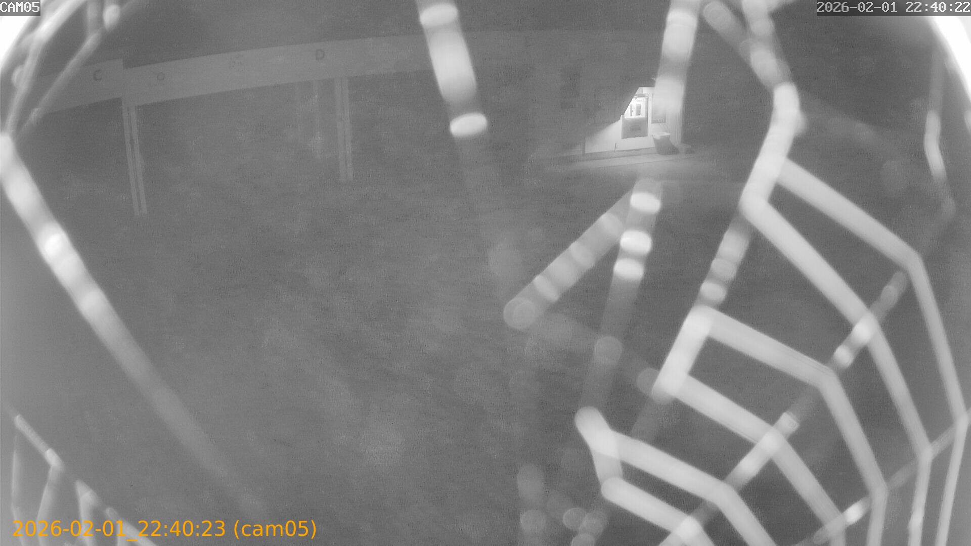 thumbnail_20260201224023