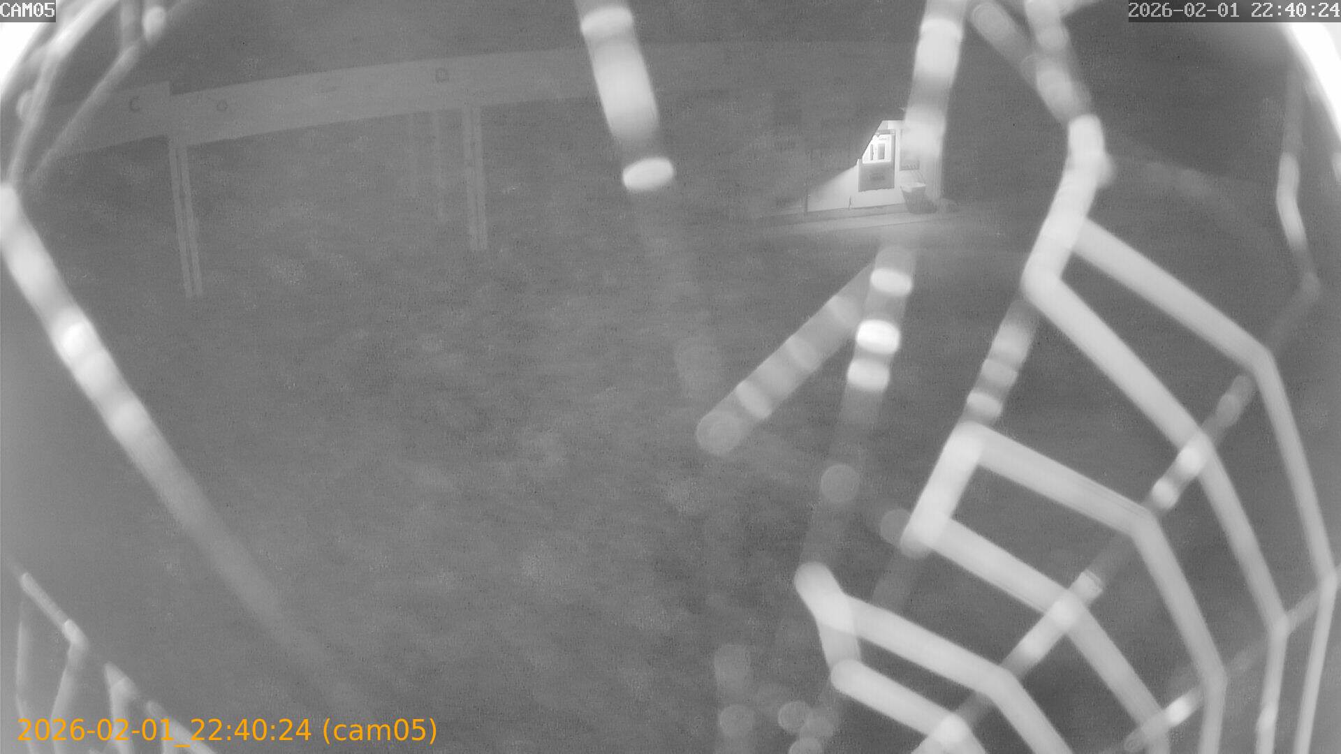 thumbnail_20260201224024