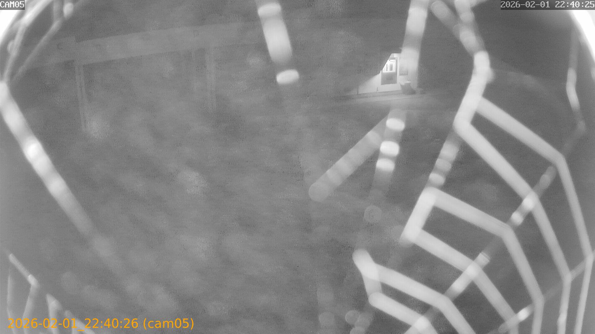 thumbnail_20260201224026