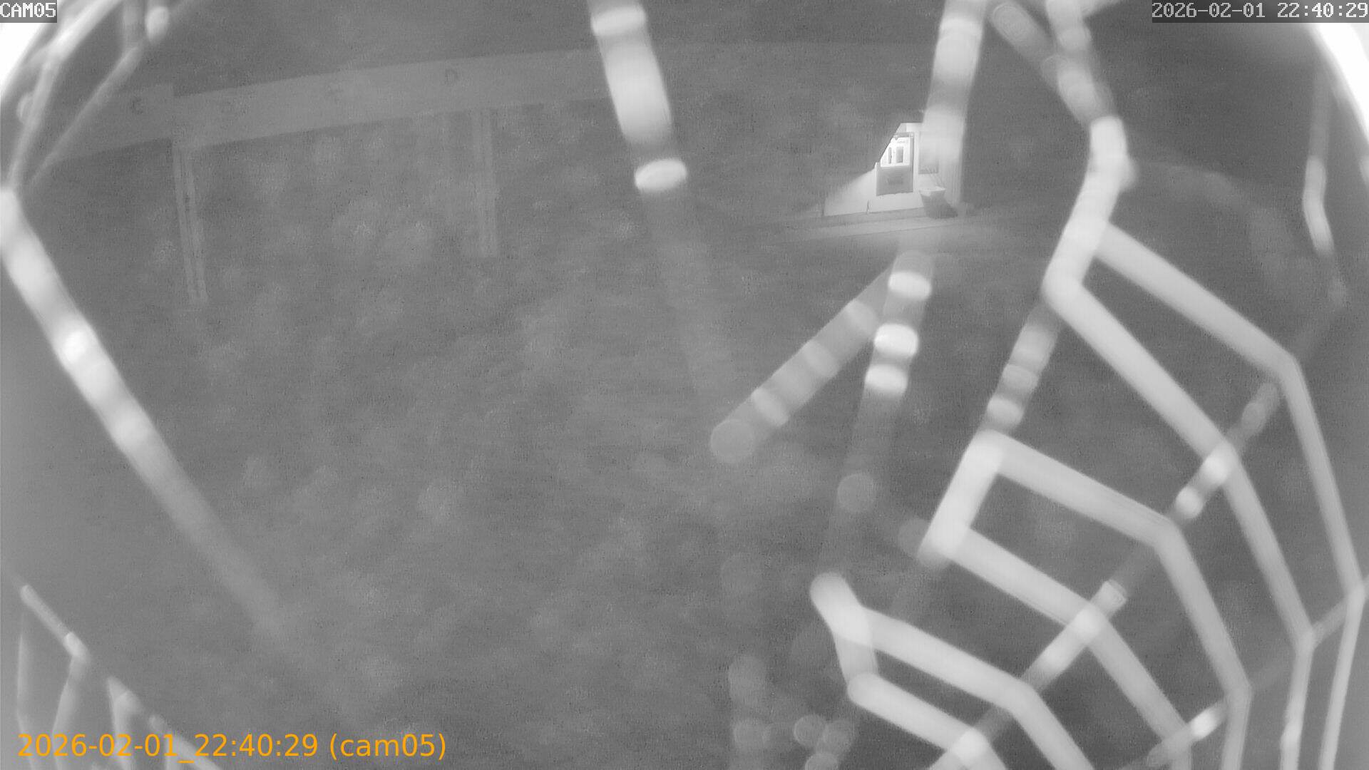 thumbnail_20260201224029