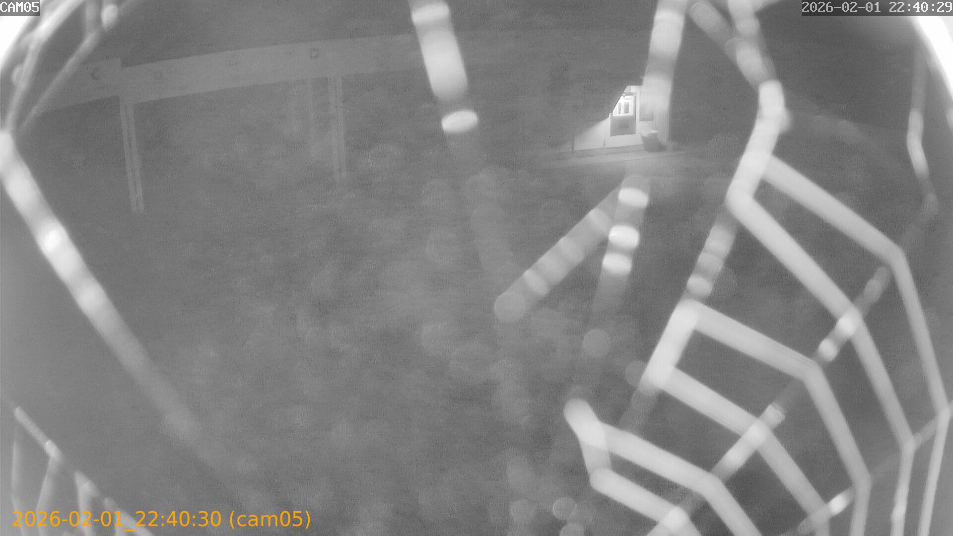 thumbnail_20260201224030