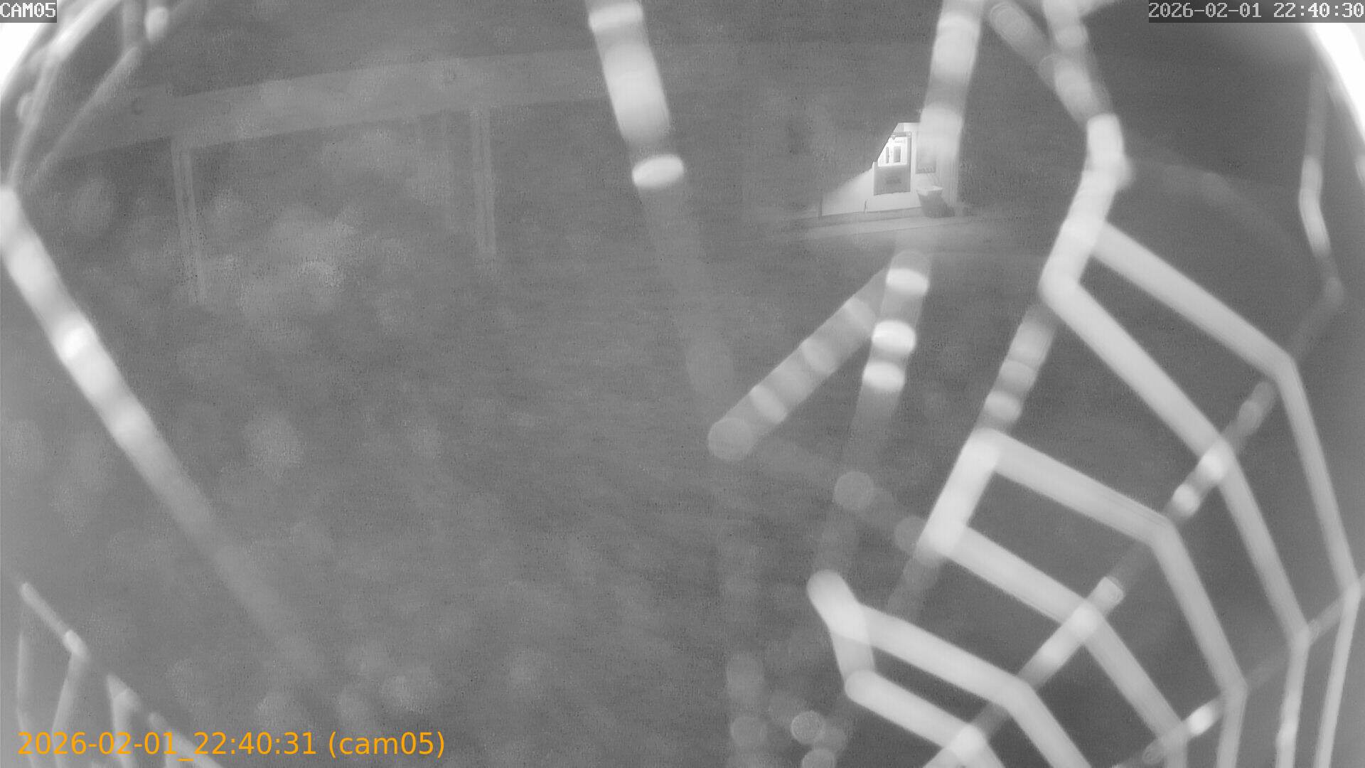 thumbnail_20260201224031