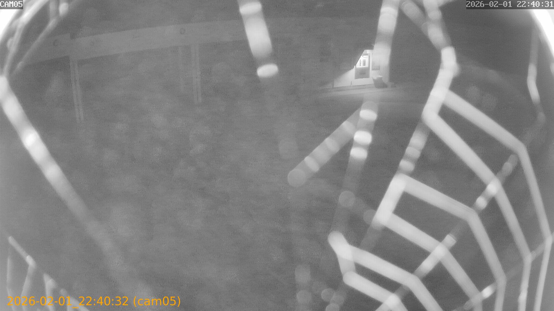 thumbnail_20260201224032