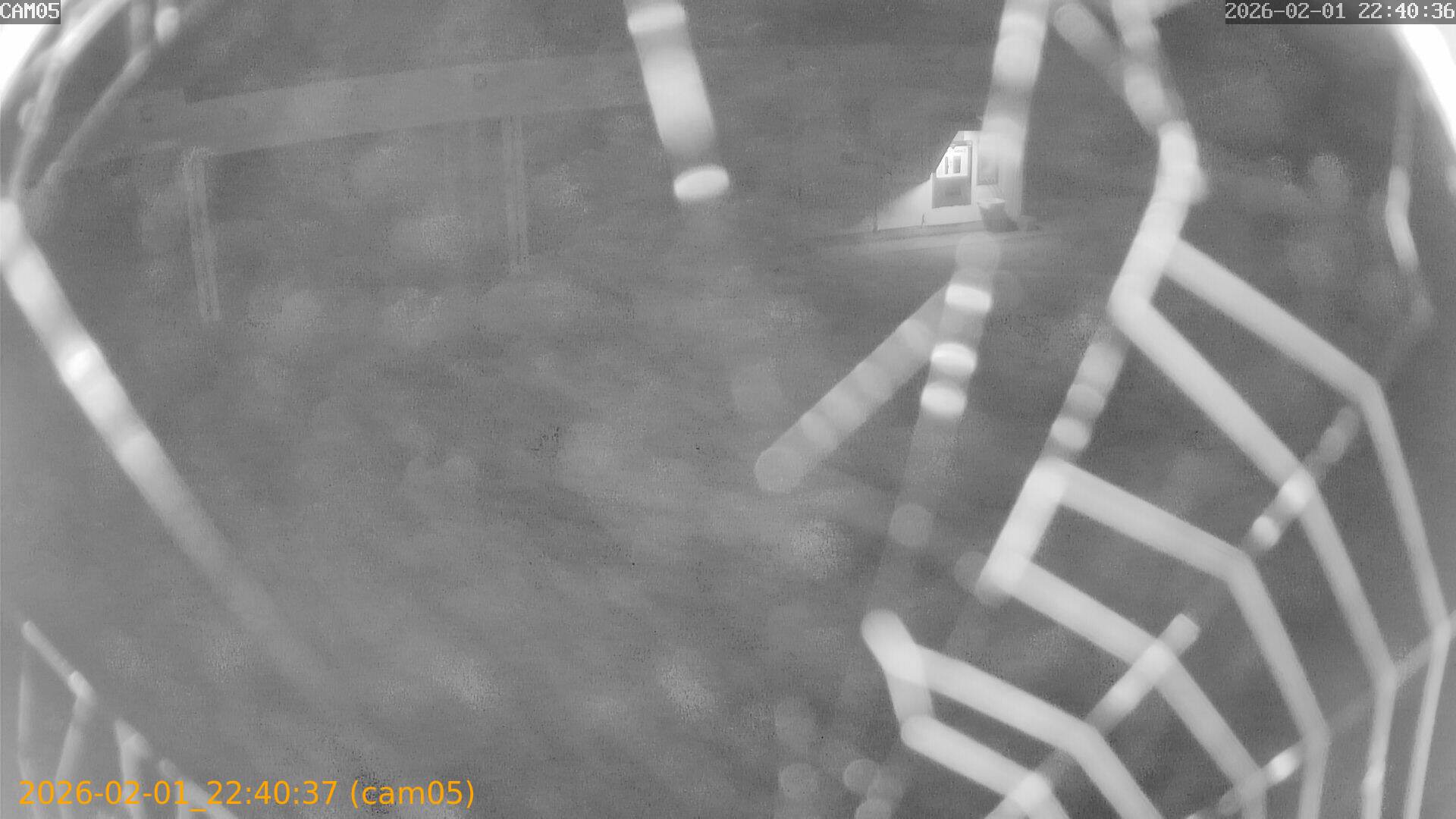 thumbnail_20260201224037