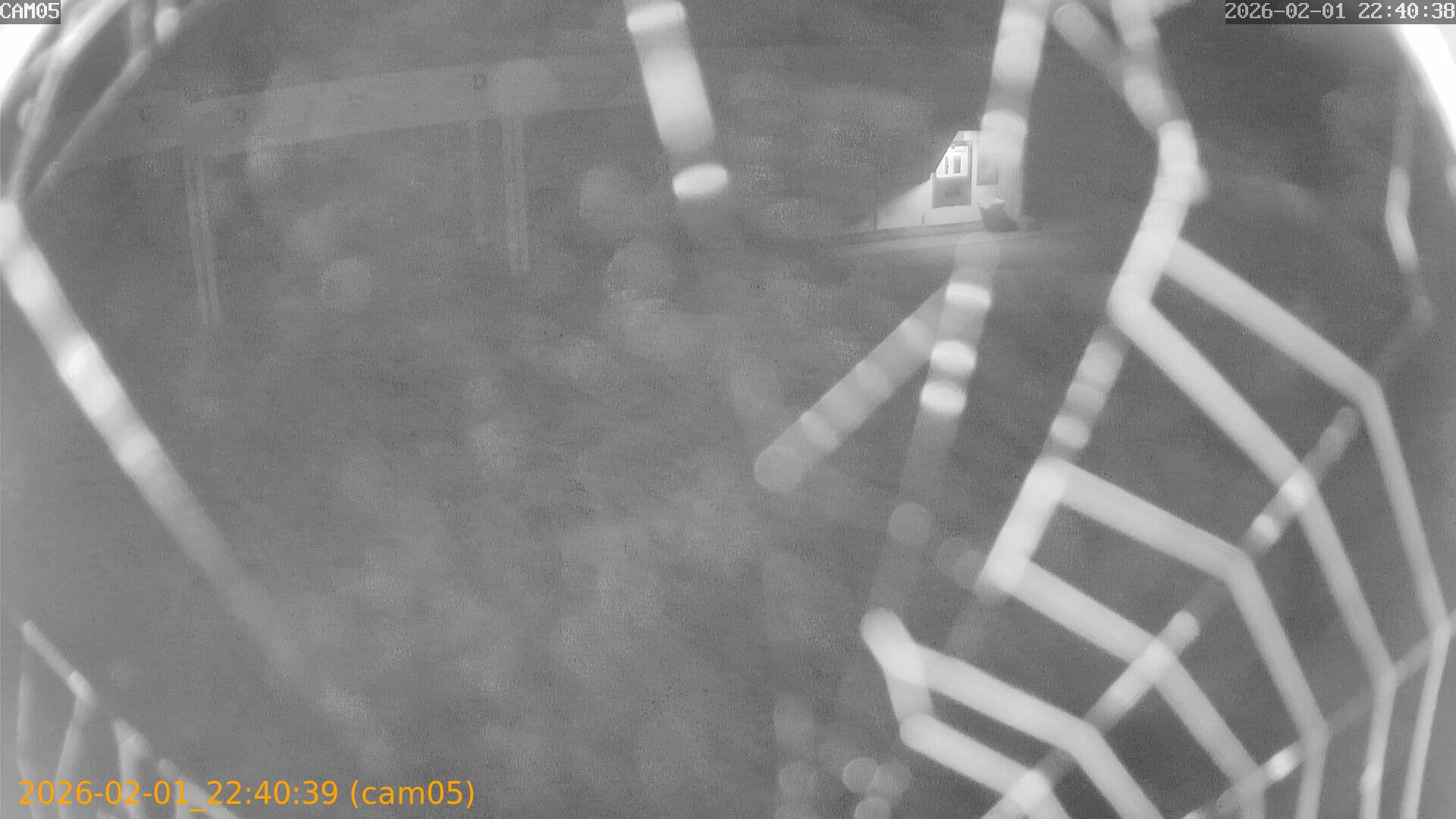 thumbnail_20260201224039