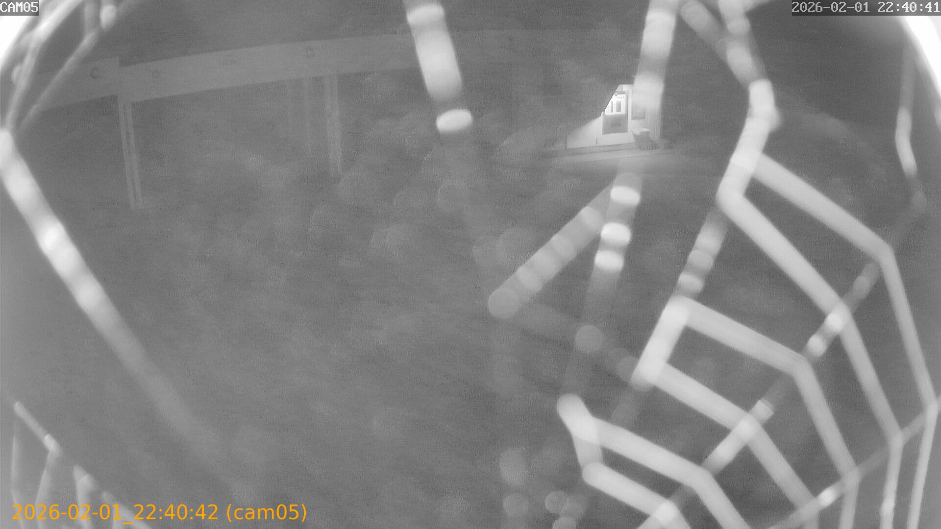 thumbnail_20260201224042