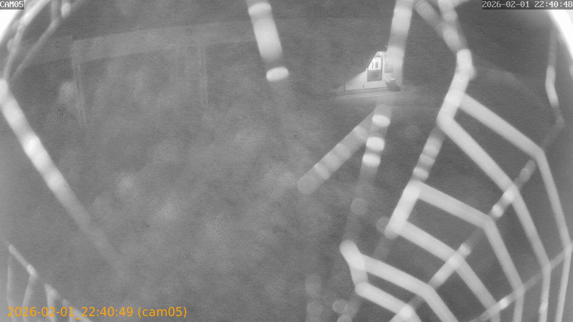 thumbnail_20260201224049