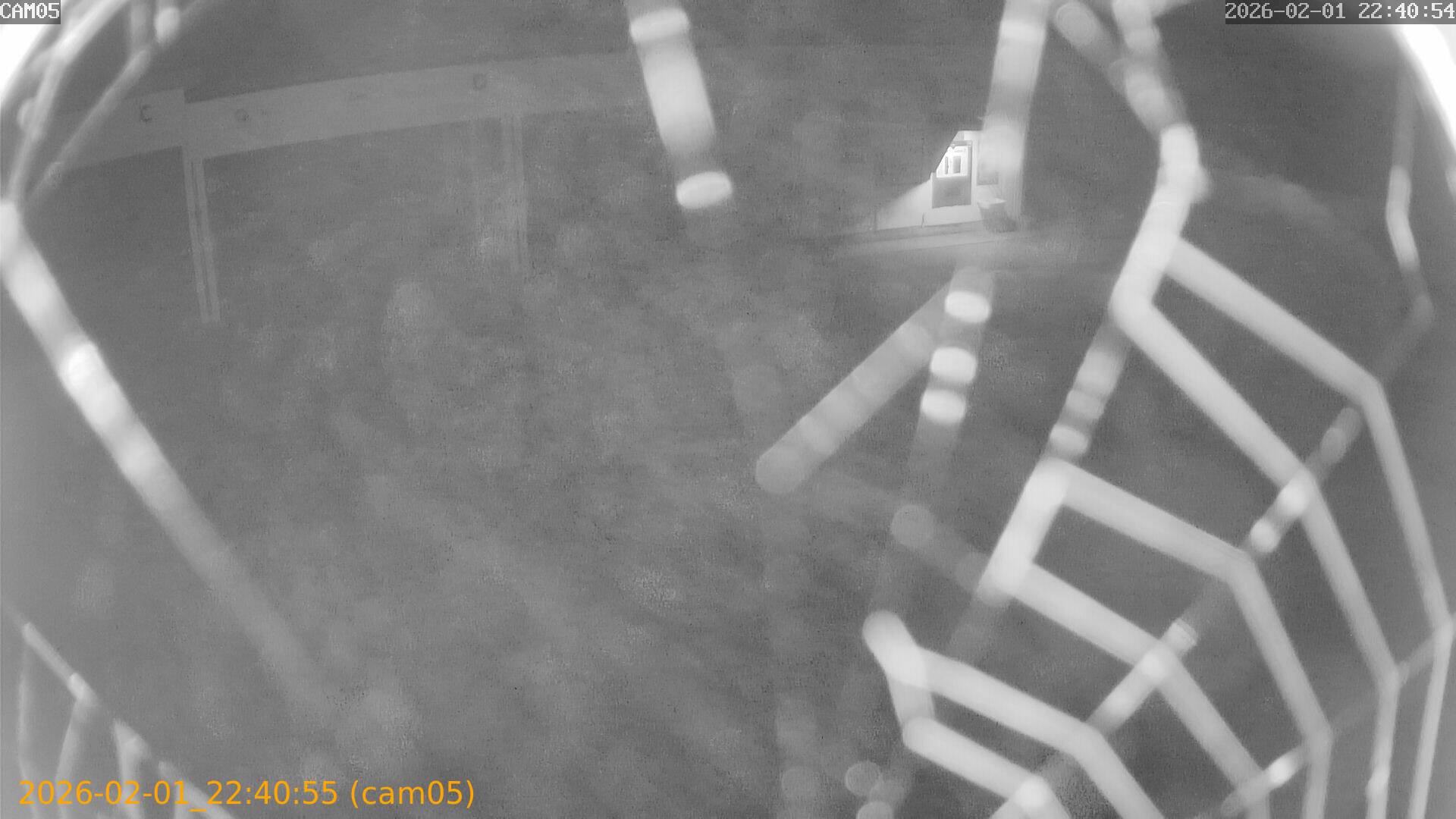 thumbnail_20260201224055