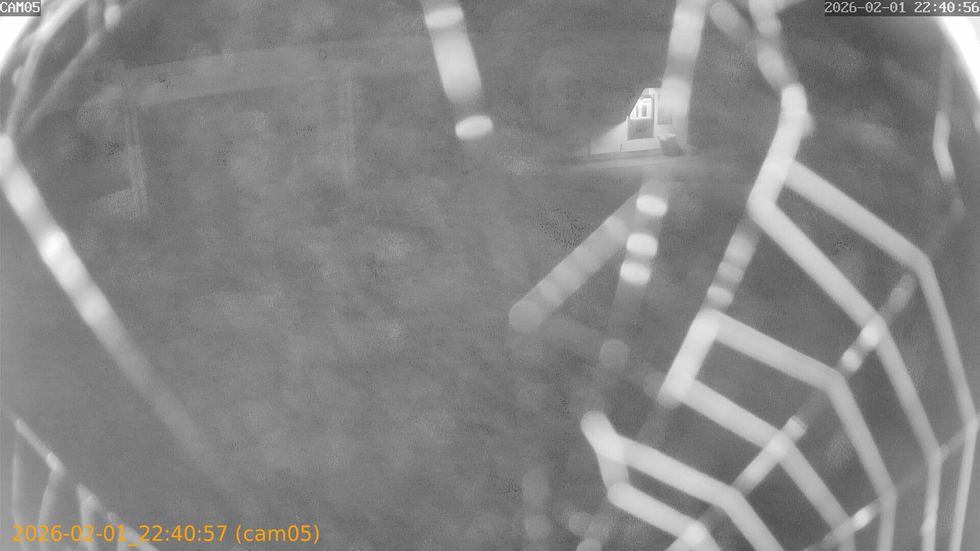 thumbnail_20260201224057