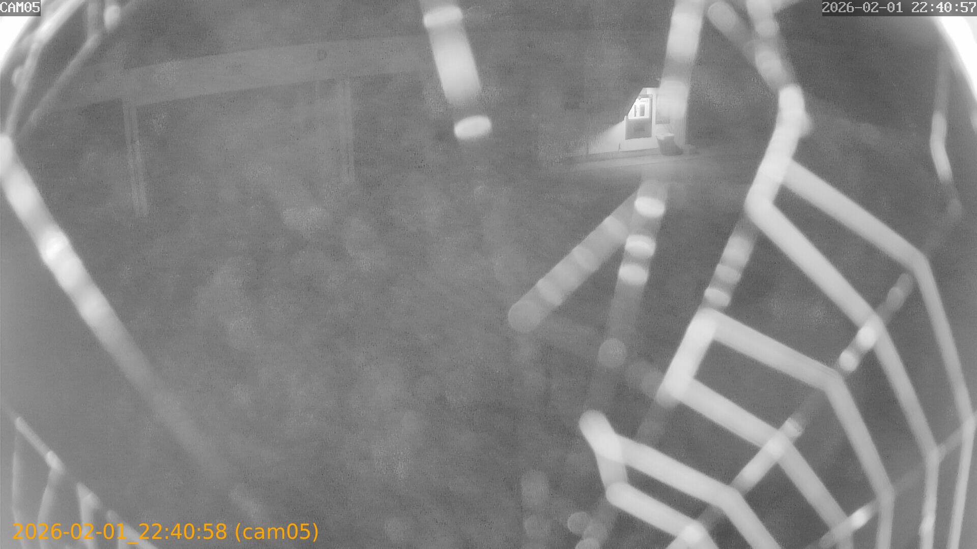 thumbnail_20260201224058