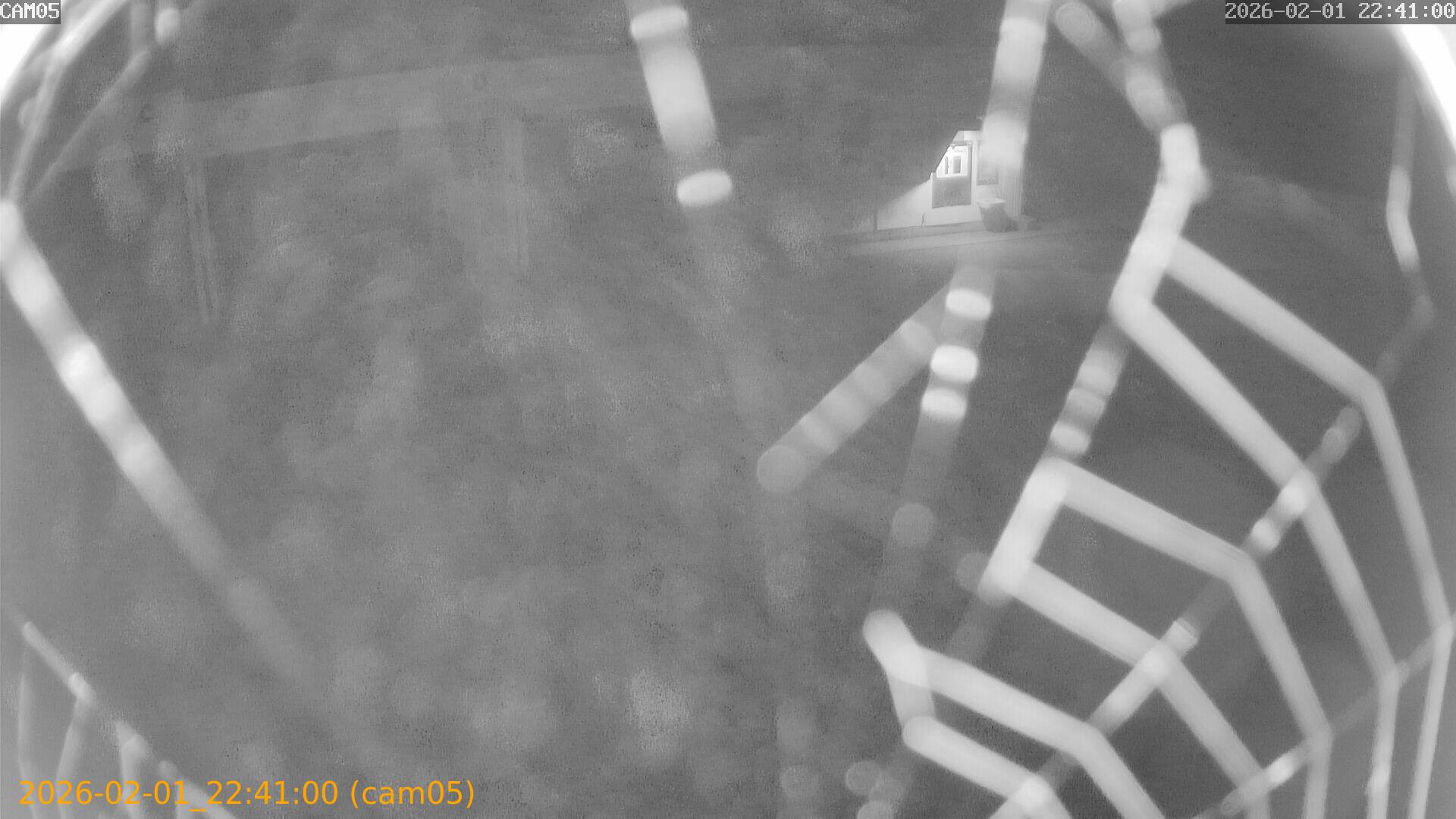 thumbnail_20260201224100