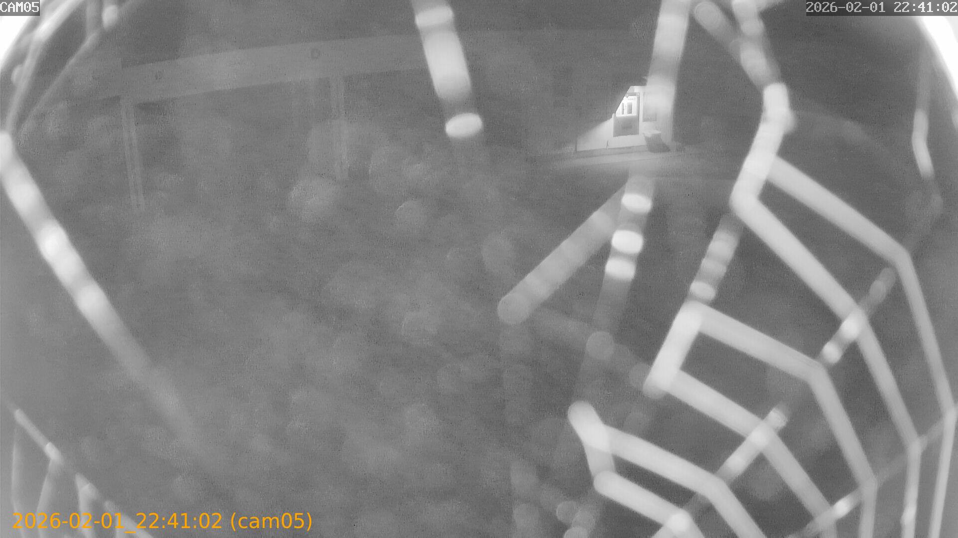 thumbnail_20260201224102