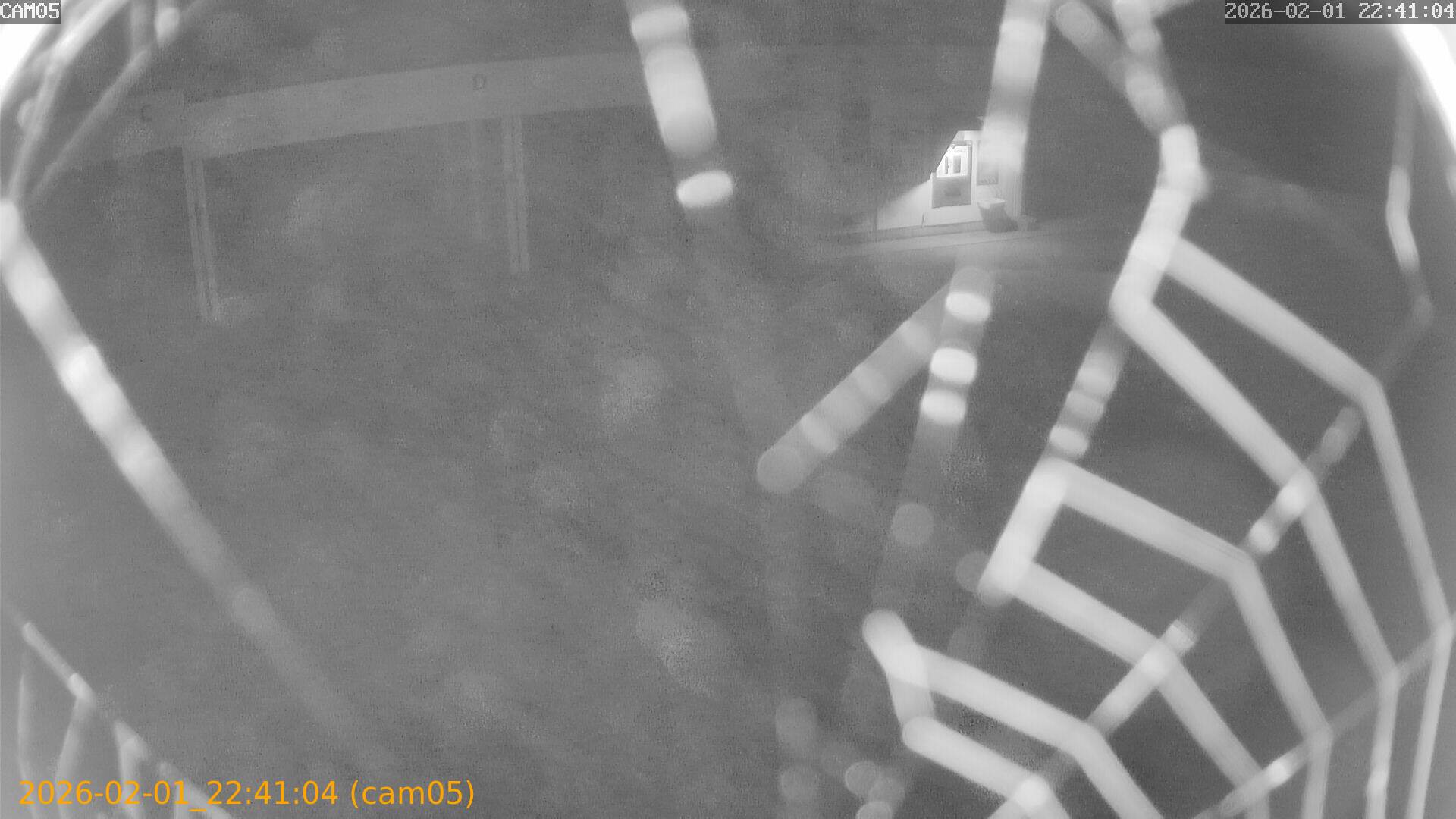 thumbnail_20260201224104