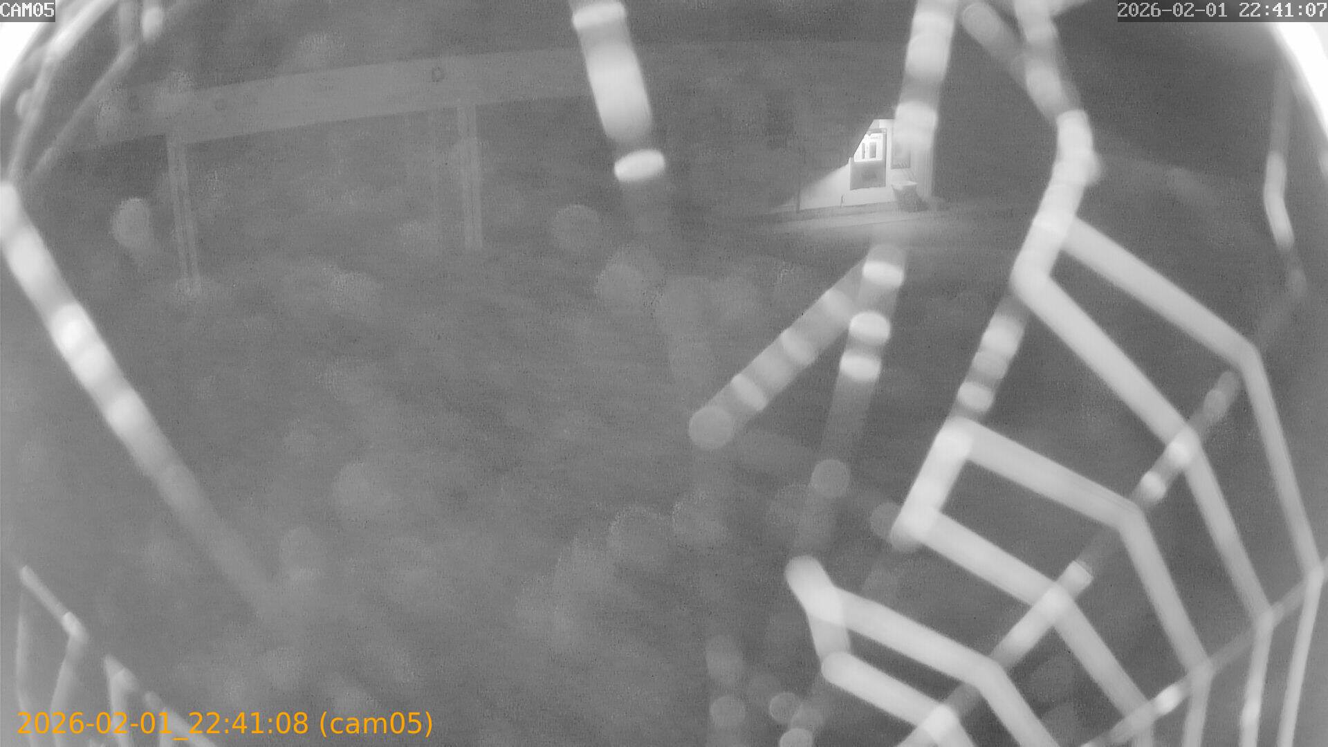 thumbnail_20260201224108