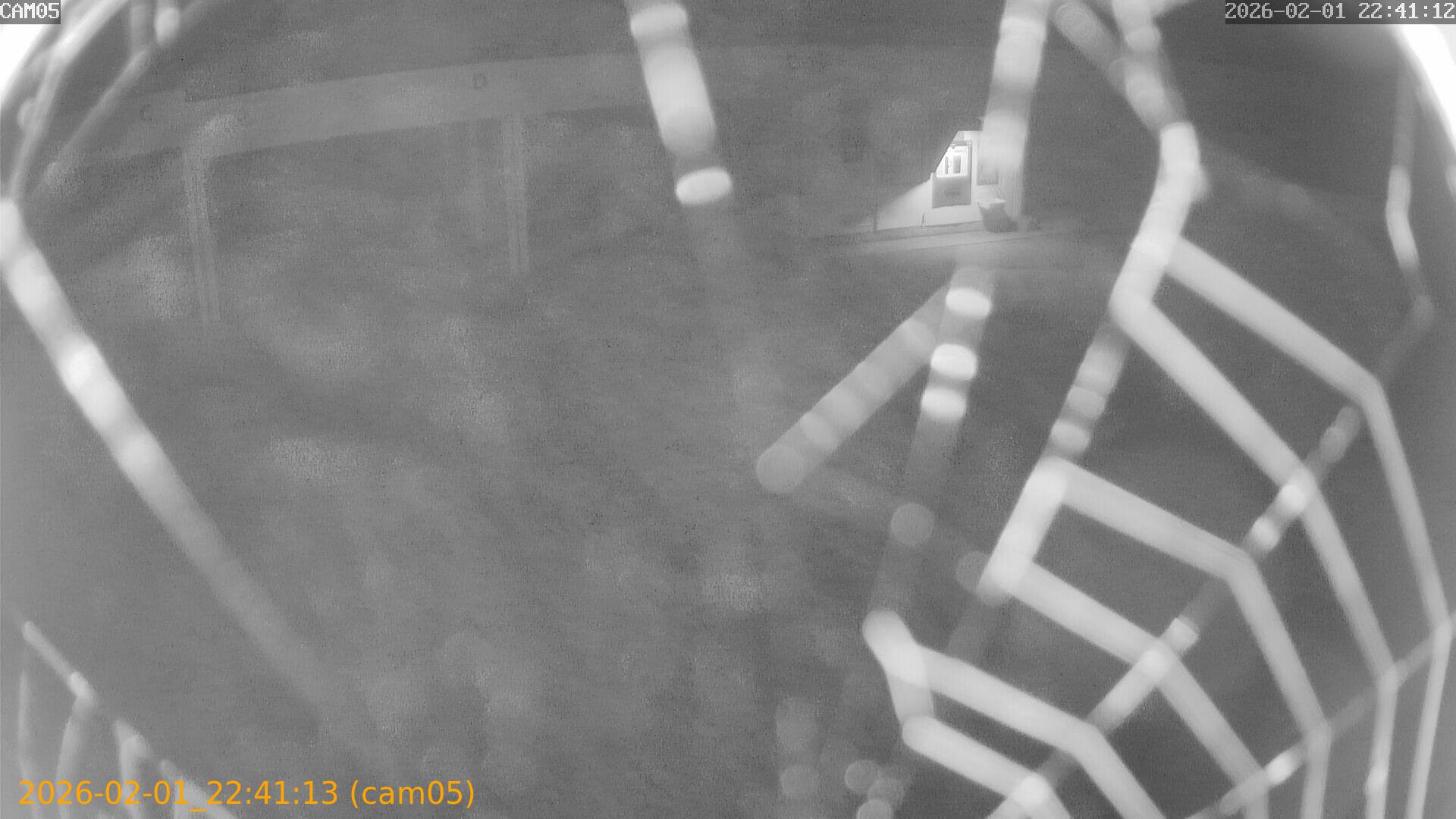 thumbnail_20260201224113