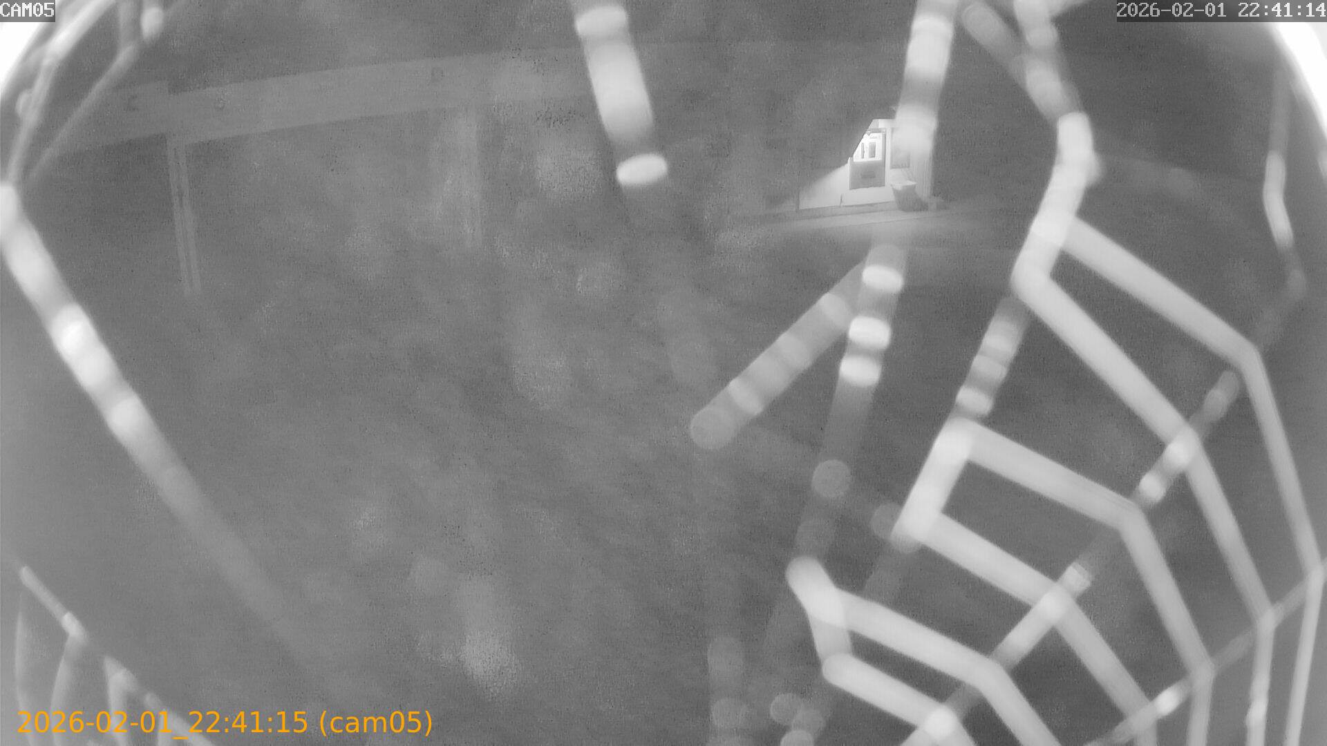 thumbnail_20260201224115