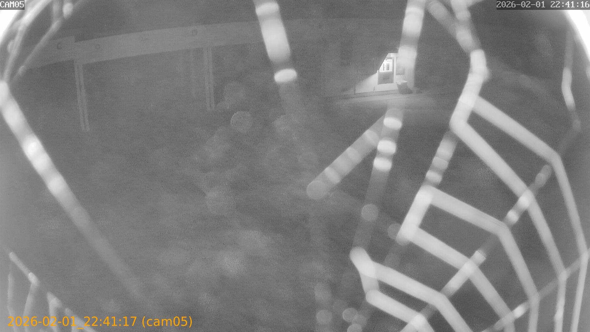 thumbnail_20260201224117