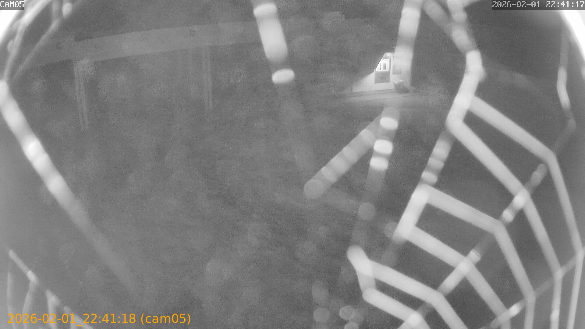 thumbnail_20260201224118