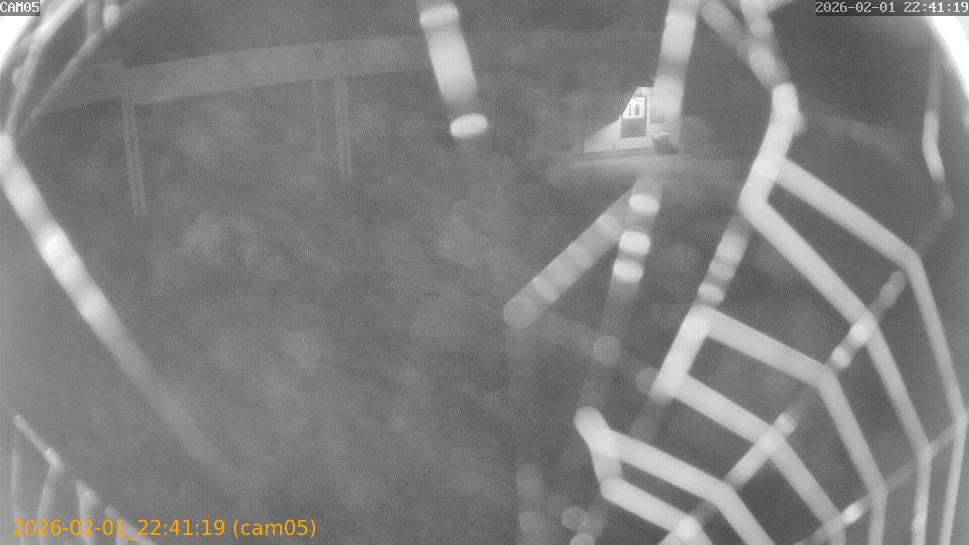 thumbnail_20260201224119