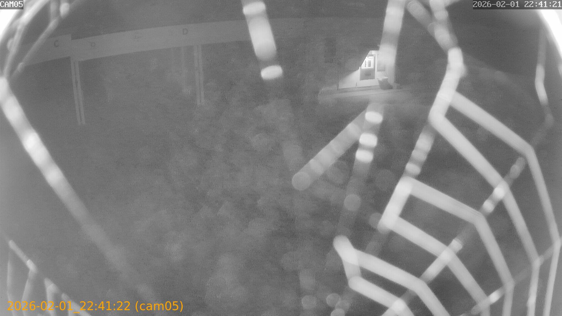 thumbnail_20260201224122