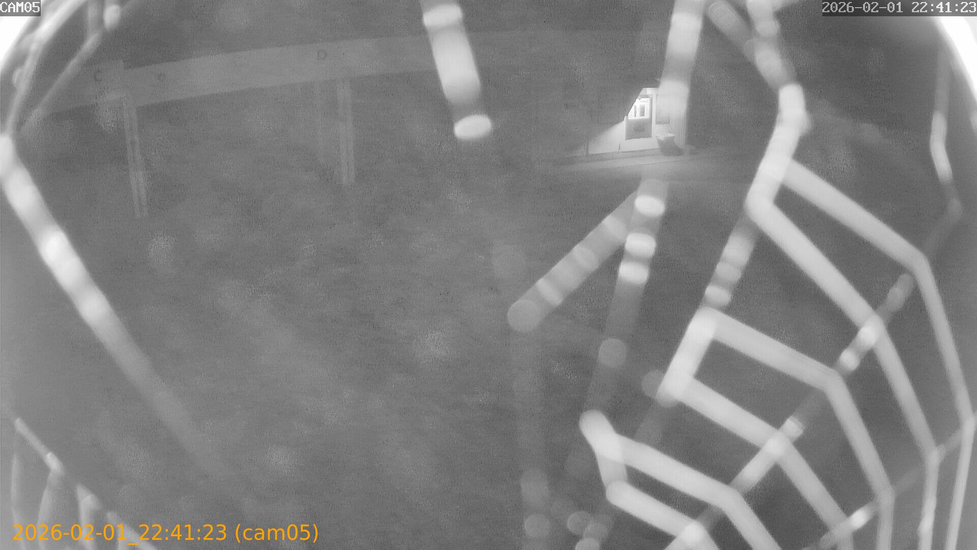 thumbnail_20260201224123