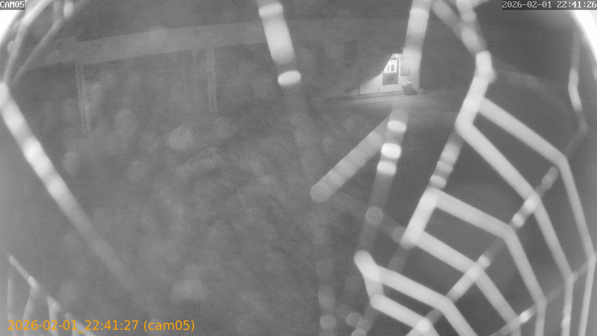 thumbnail_20260201224127