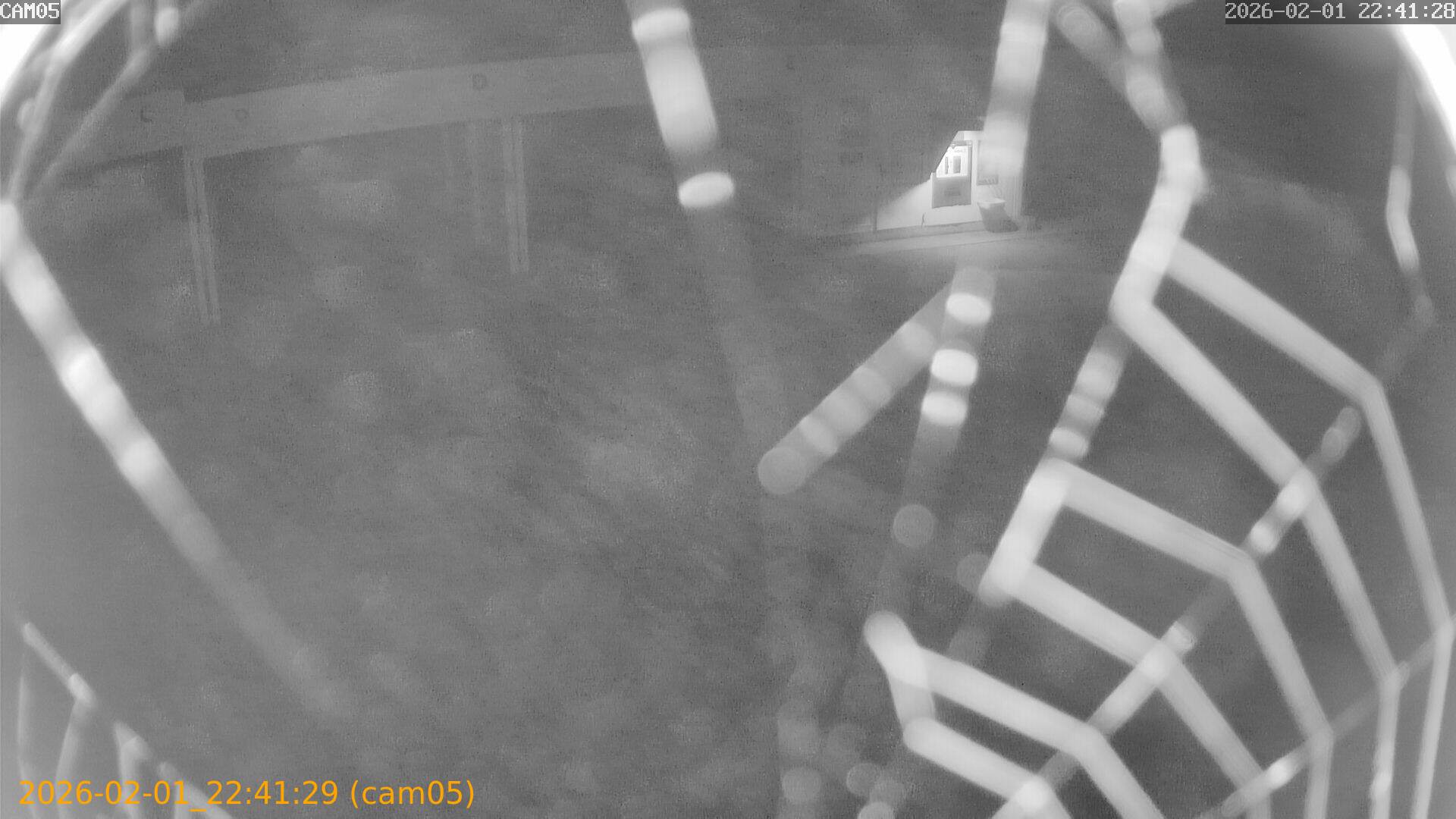 thumbnail_20260201224129