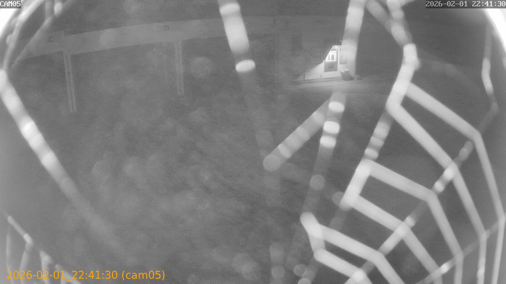 thumbnail_20260201224130