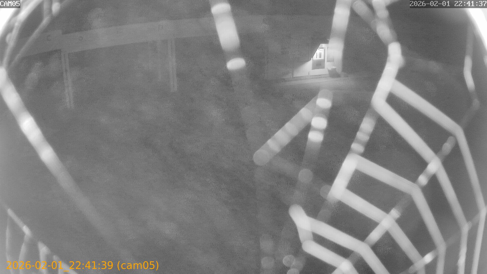 thumbnail_20260201224139