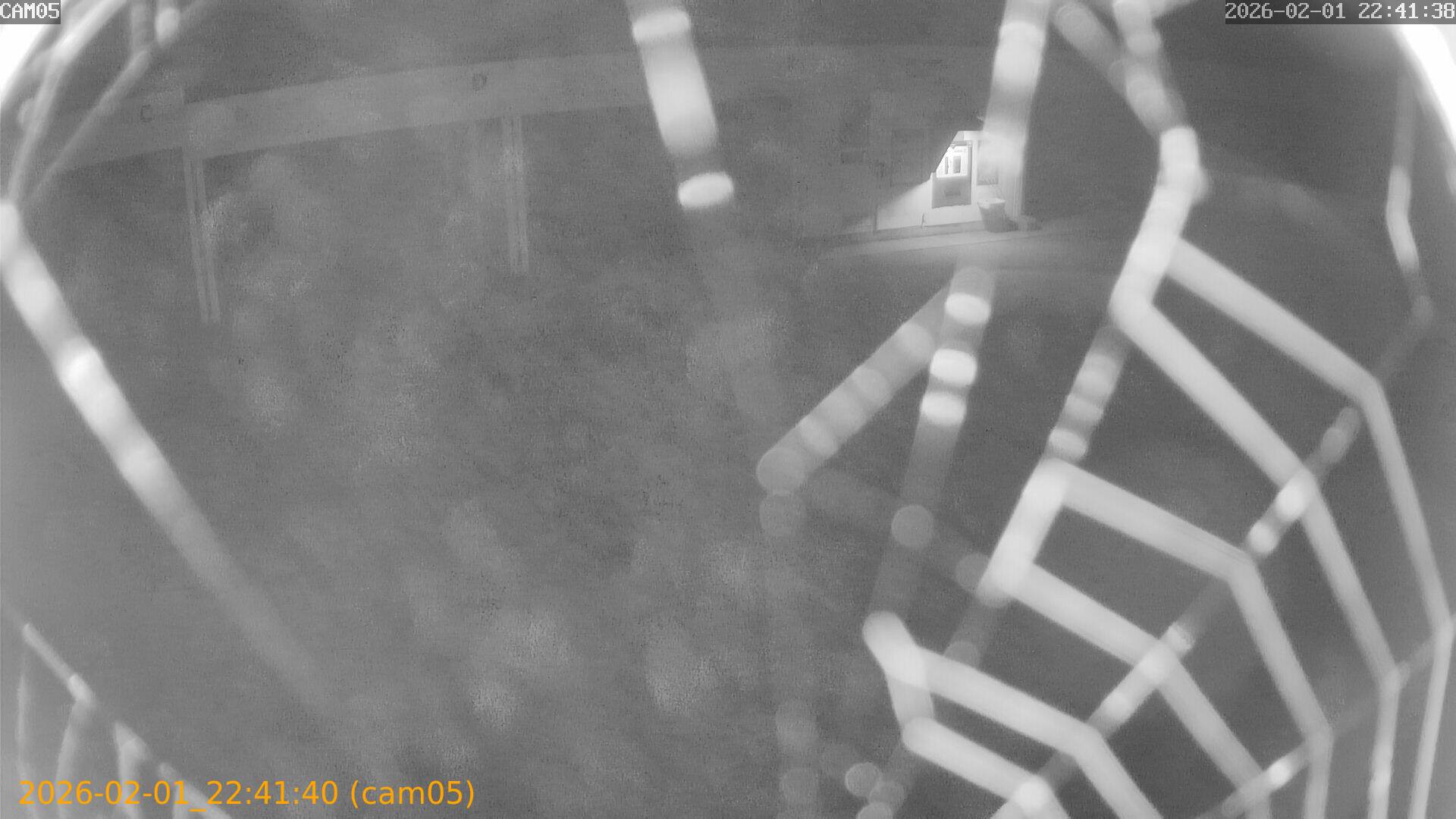 thumbnail_20260201224140