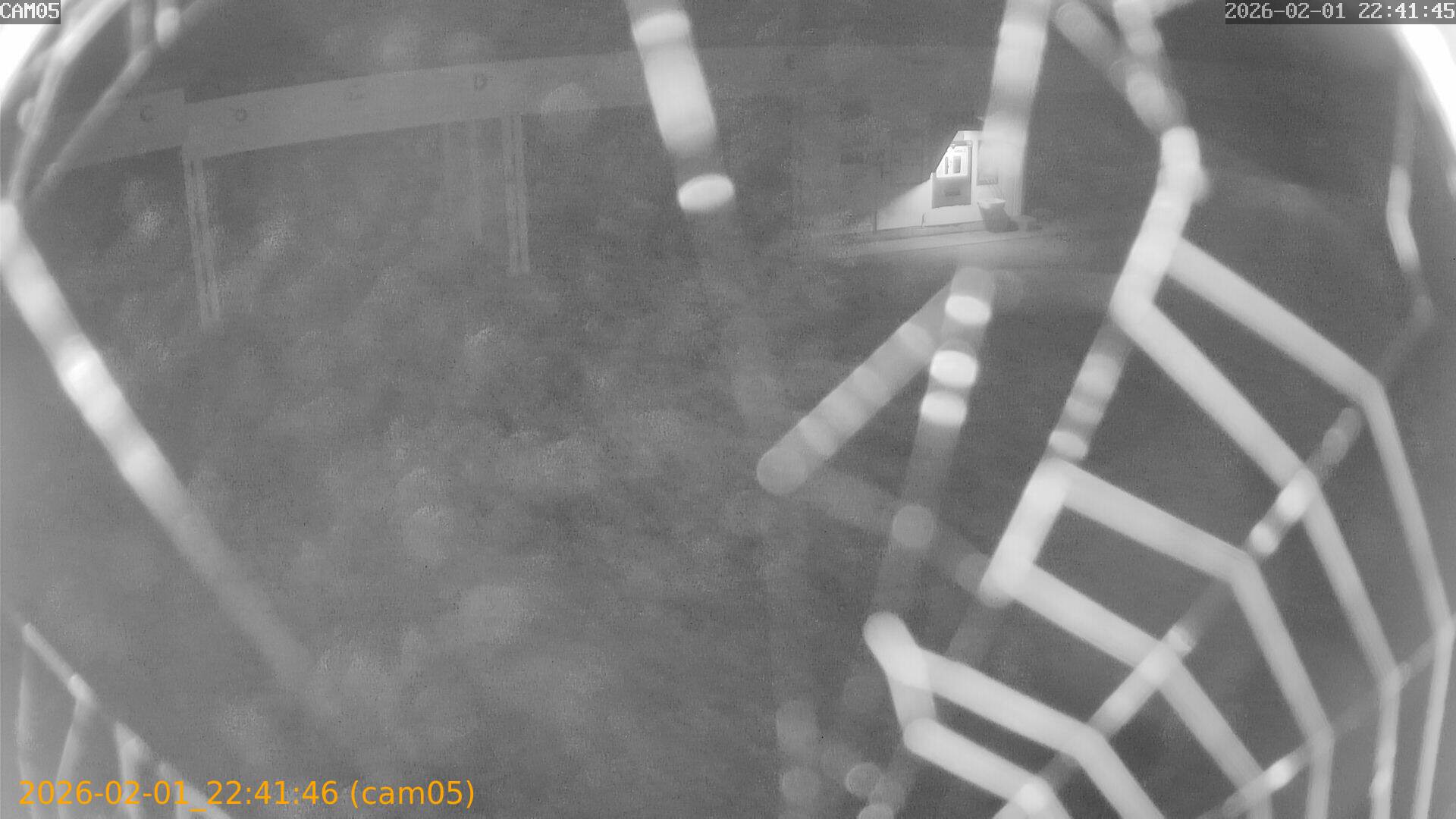 thumbnail_20260201224146